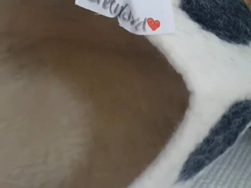 Purrz cat caves