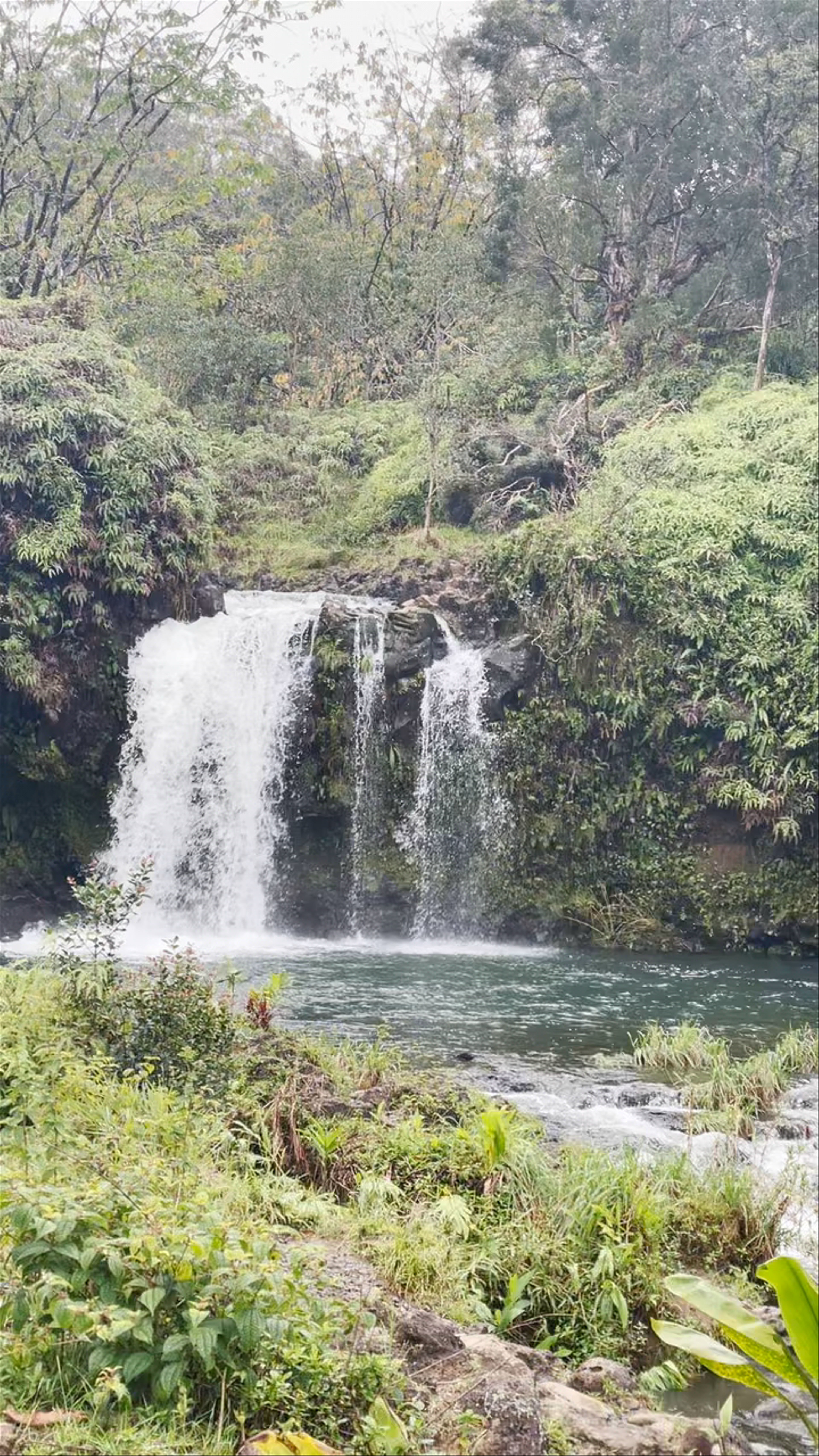 Twin Falls Maui Waterfall: Enchanting Cascade on Hana Highway