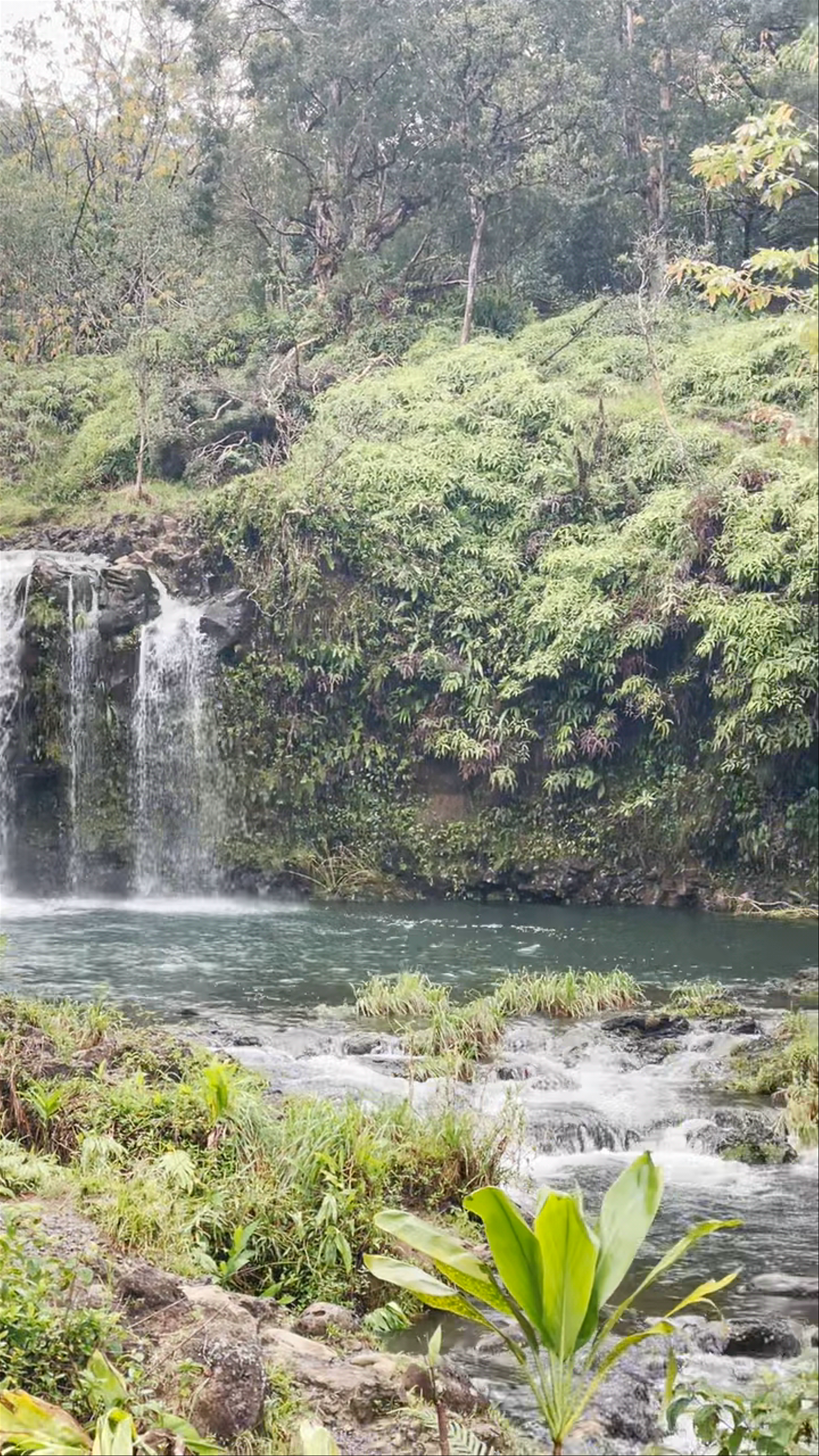 Twin Falls Maui Waterfall