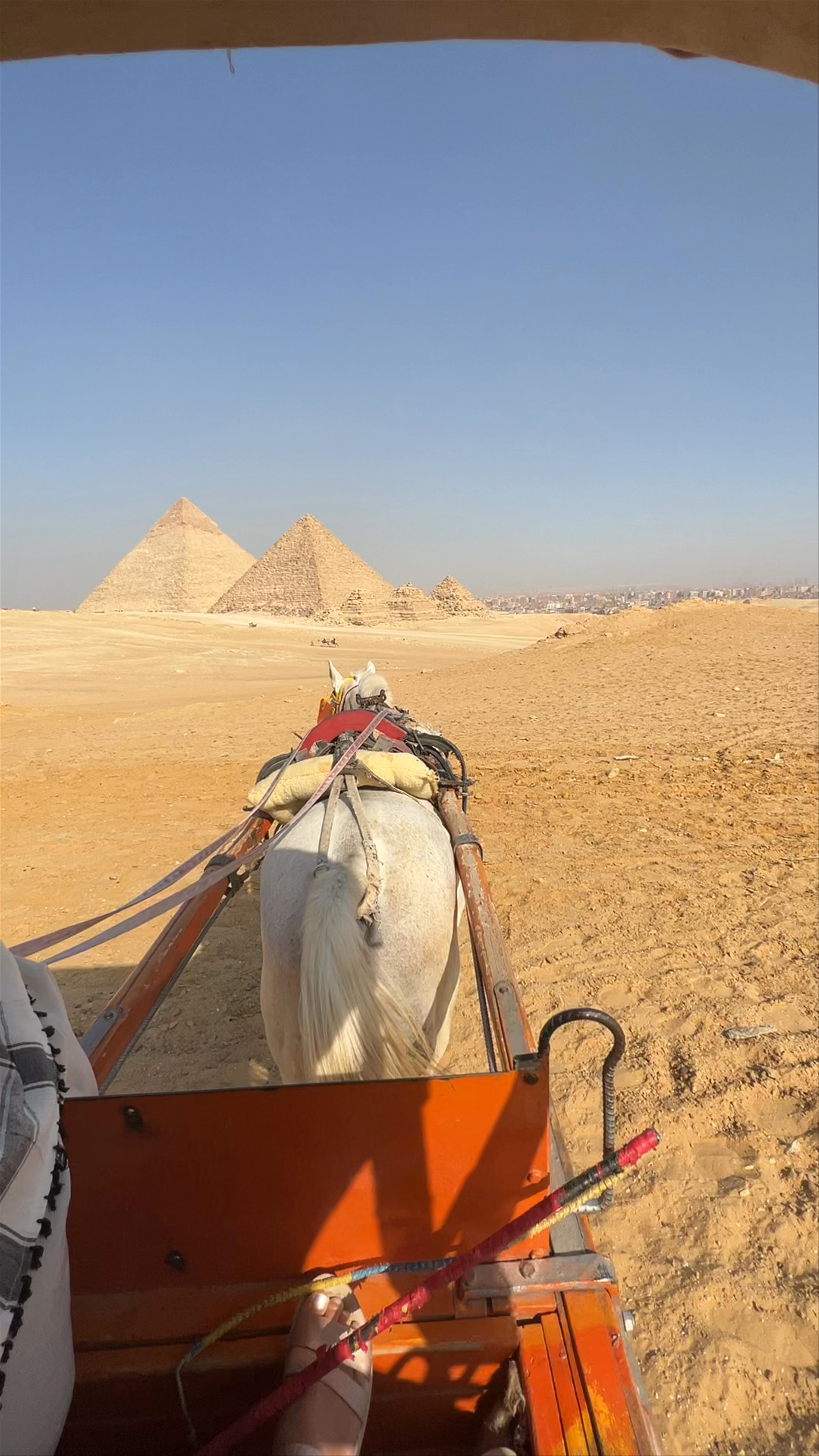 Horse-Drawn Carriage Ride with Breathtaking Views of the Giza Pyramids