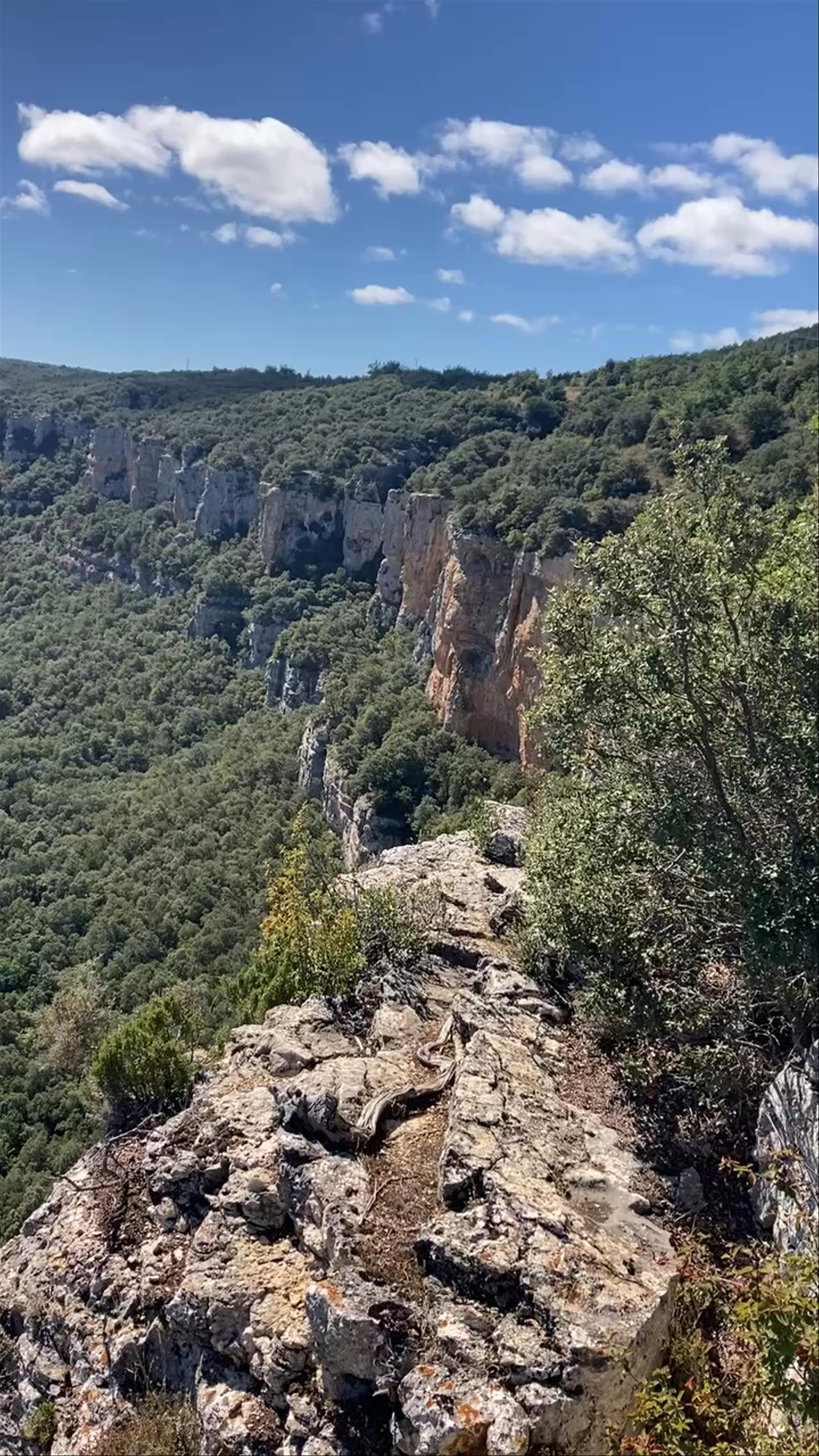 Mirador Del Cañon Del Ebro