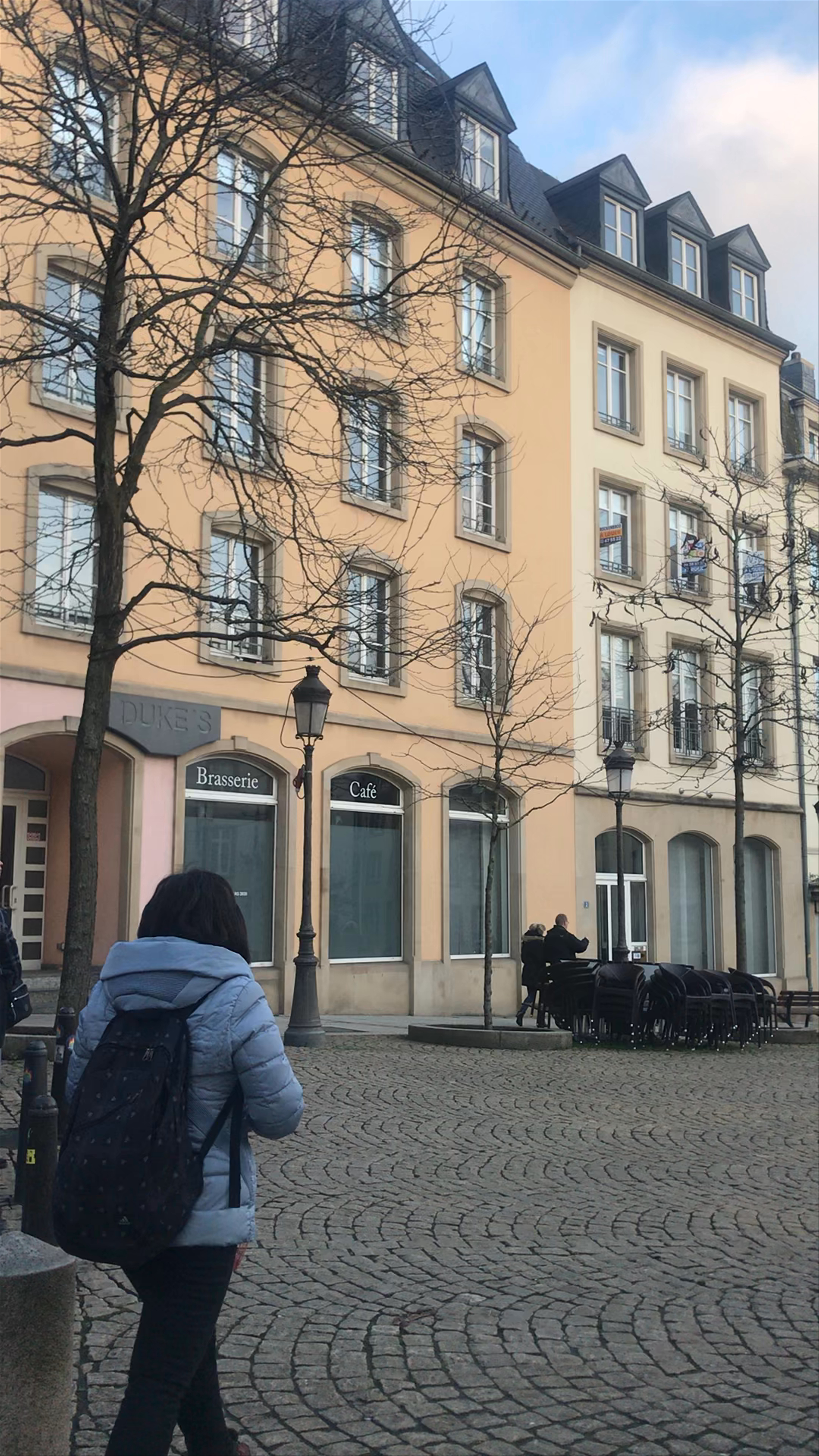 Charming Winter Walk at Luxembourg Gare Central Train Station