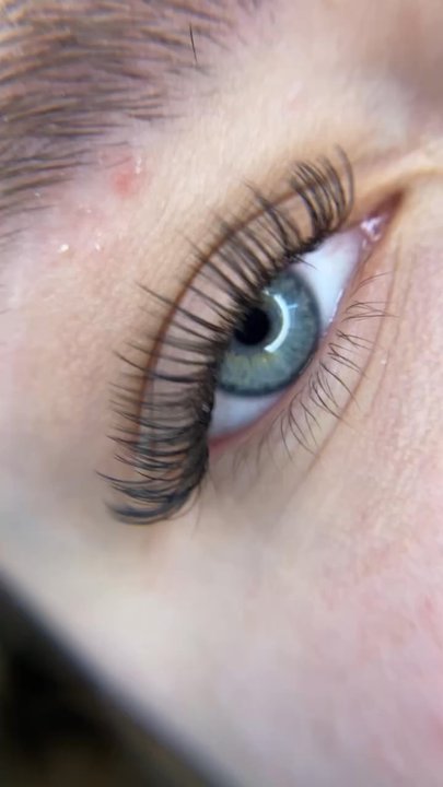 Camellia Beauty Studio - Hybrid lash extension - Skin Care Near Me - Greensboro, North Carolina