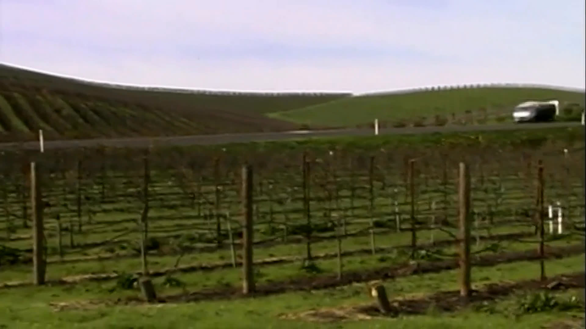A vineyard owner explains that he sold vineyards planted decades earlier to fund art purchases and building construction. Rows of vines stretch across rolling hills near farm buildings as he speaks.
