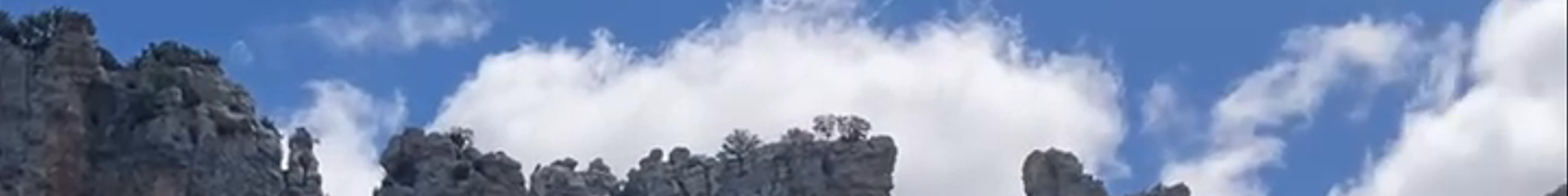 Tours & experiences in San Martín de Elines