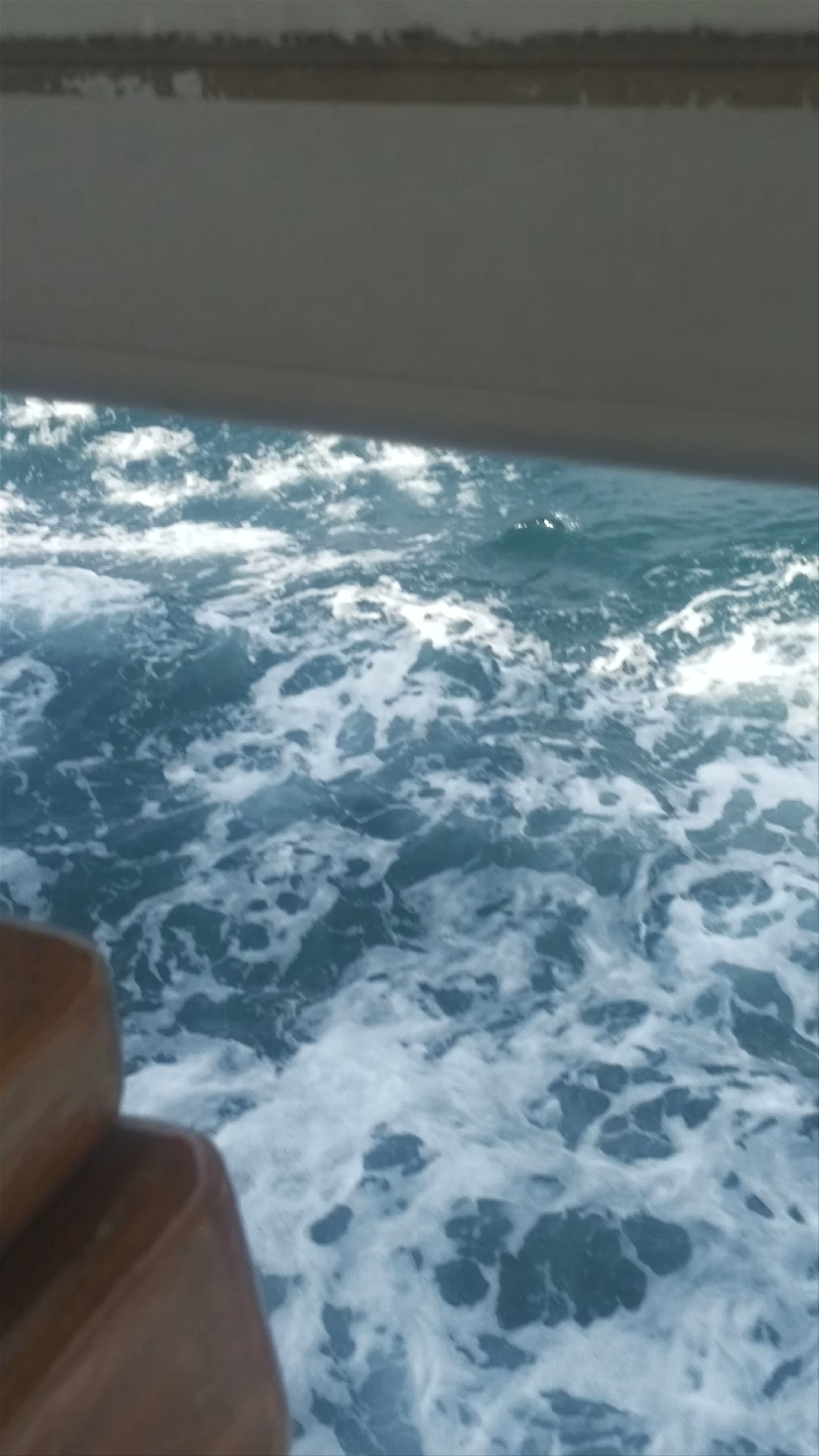 Bosphorus Ferry Ride in Istanbul: A Scenic Maritime Journey