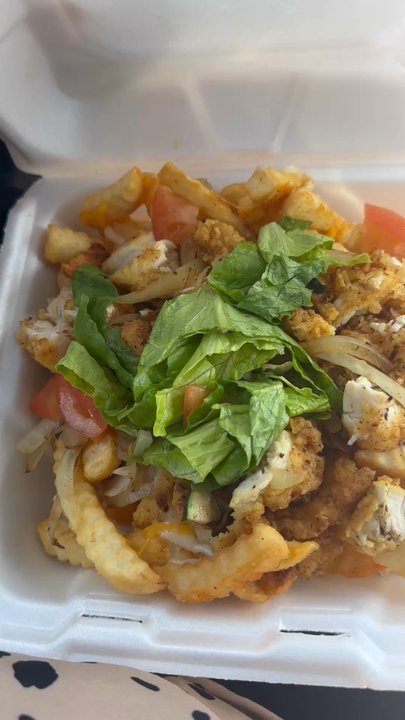 Kat’s Diner - This was the loaded fries. - Diners Near Me - Metter, Georgia