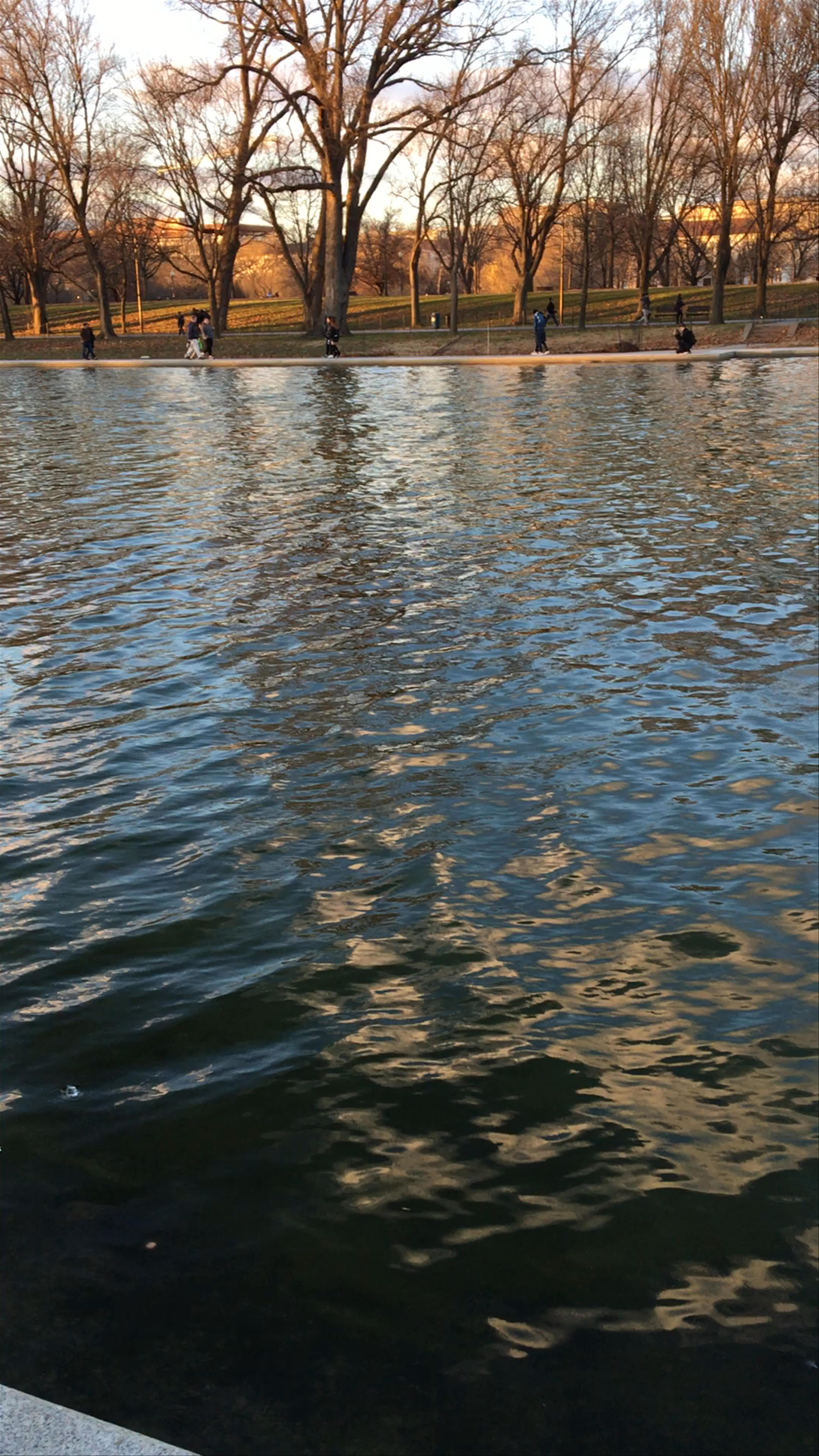 Tranquil Sunset Walk at Lincoln Memorial Reflecting Pool, Washington DC
