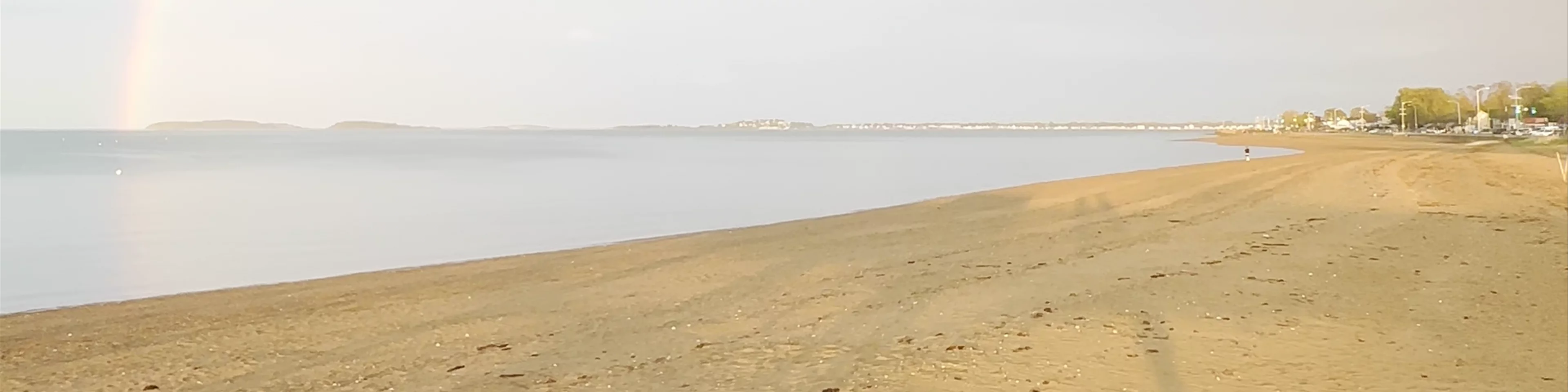 Wollaston Beach
