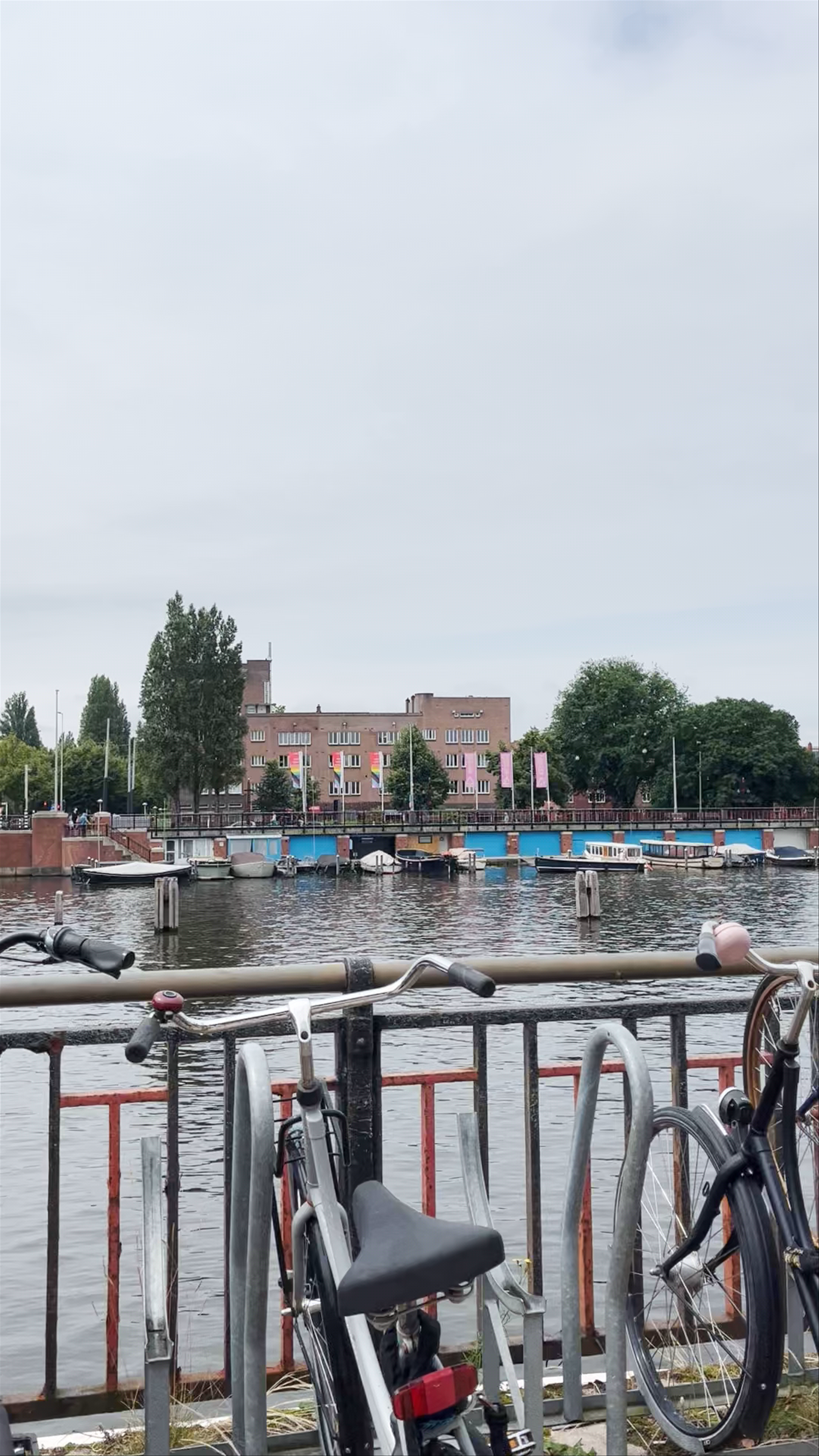 Berlagebrug Bridge Walk and Canal Views in Amsterdam