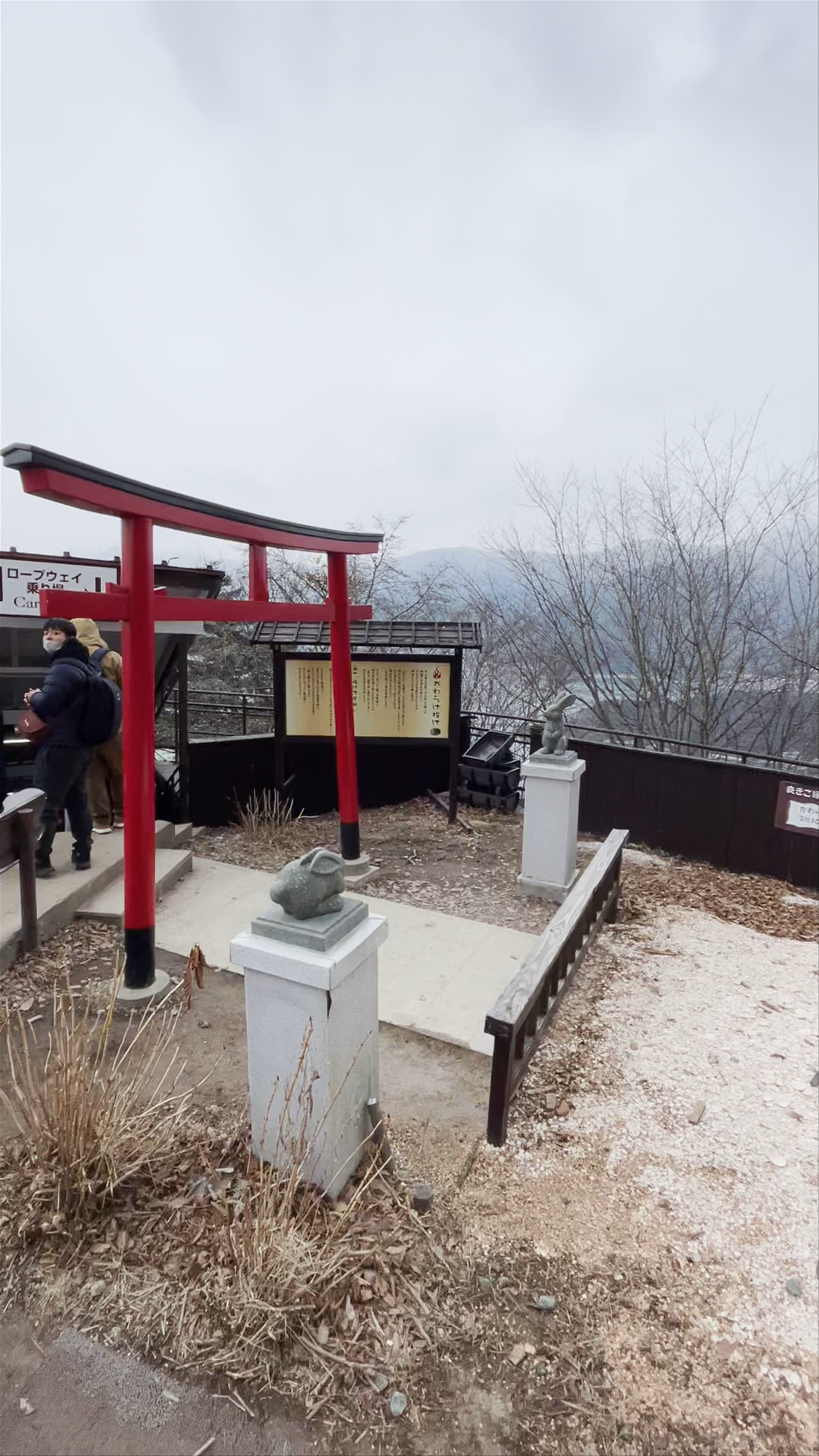 Mt. Fuji Panoramic Ropeway