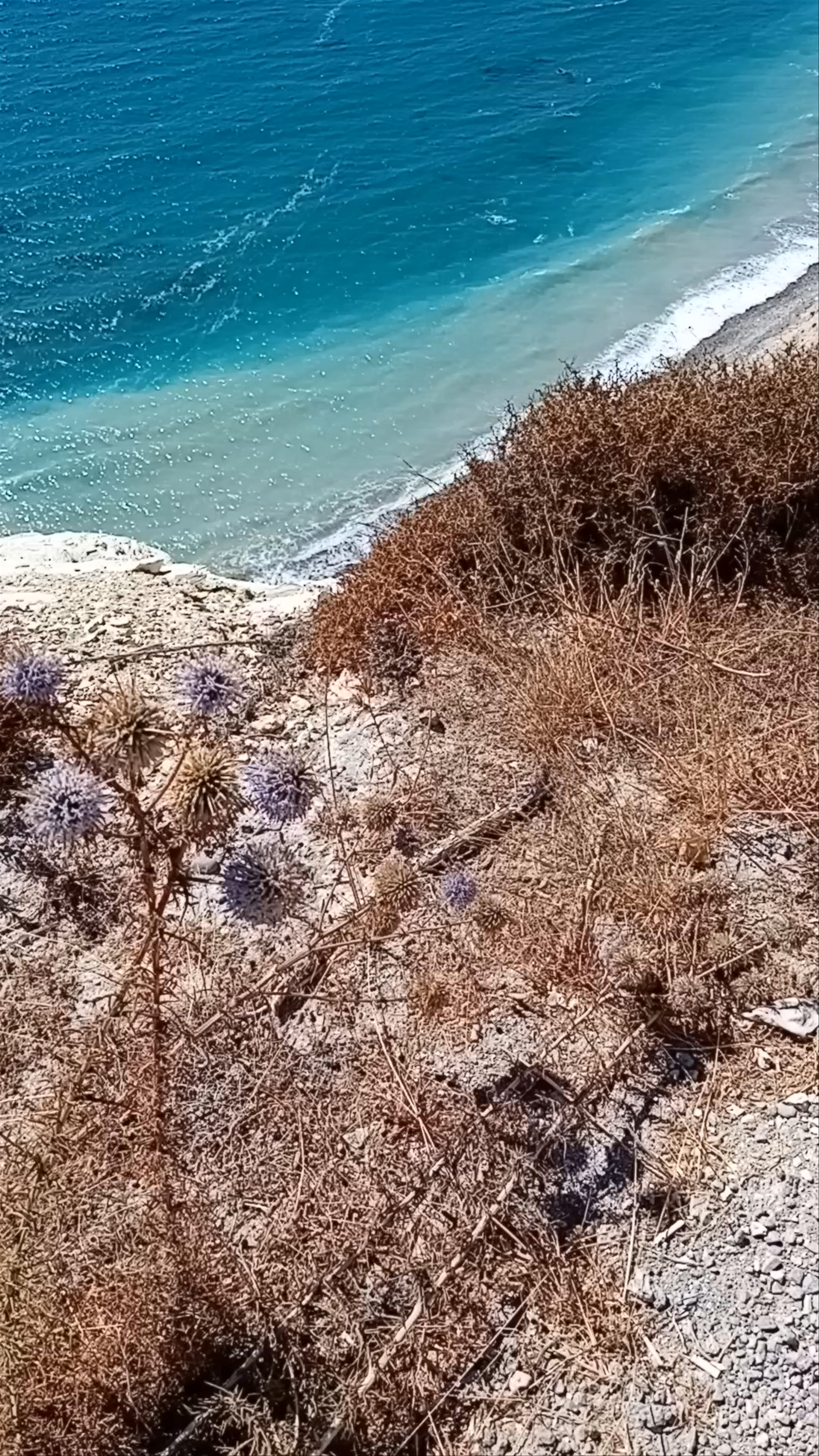 Aphrodite's Rock Viewpoint