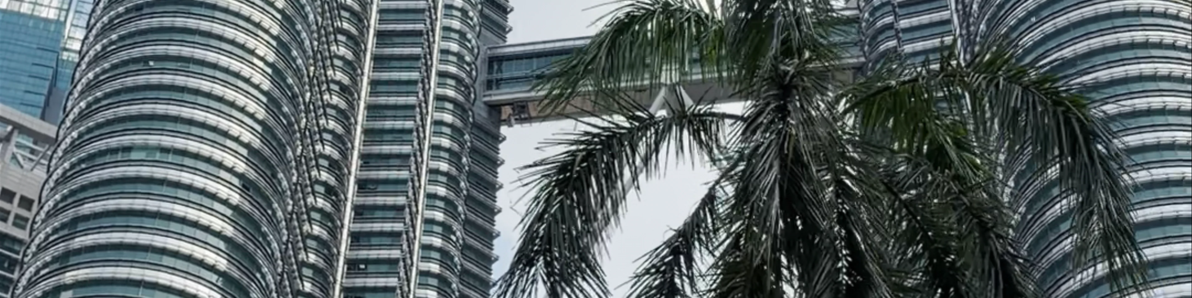 Petronas Towers