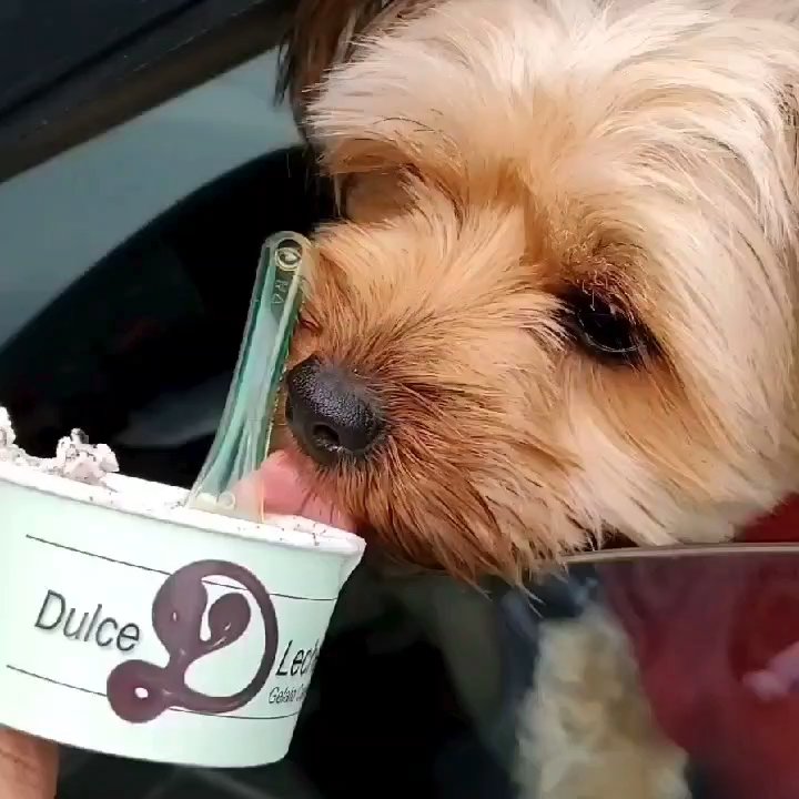 Dulce D Leche Framingham - Chocolatiers & Shops Near Me - Framingham, Massachusetts