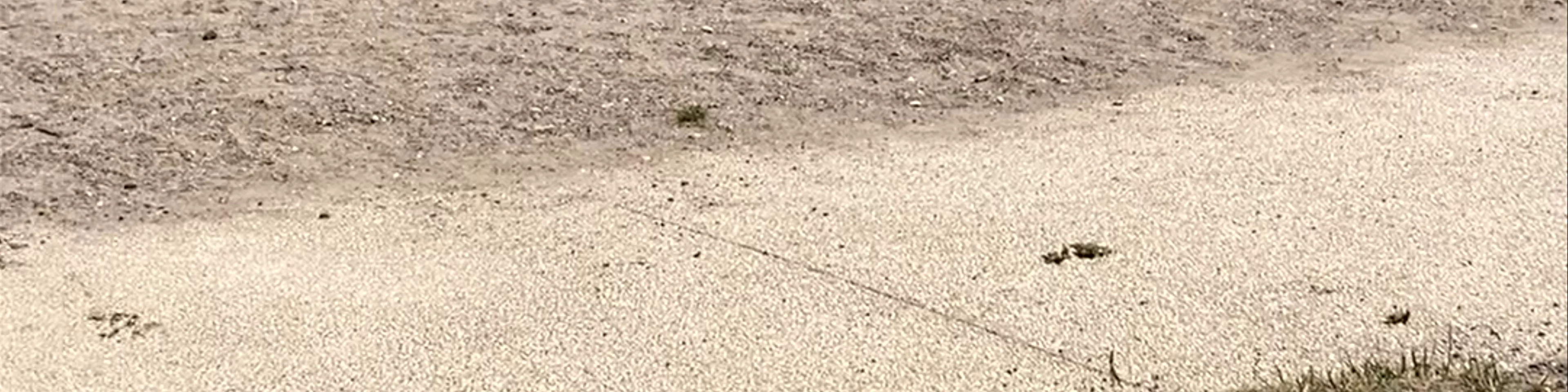 Parking de la plage de sévrier
