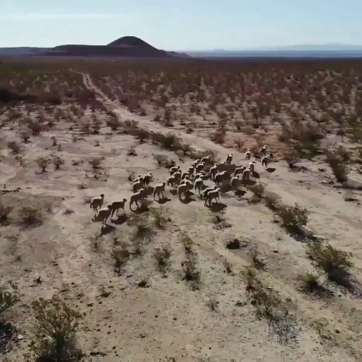 Box R Outfitters - Wildlife Hunting Ranges Near Me