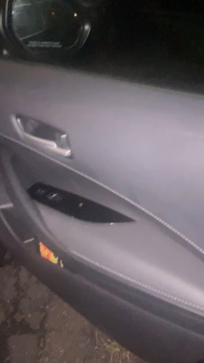 Thrifty - Roaches crawling throughout the rental car - Car Rental Near Me - Carolina, Puerto Rico
