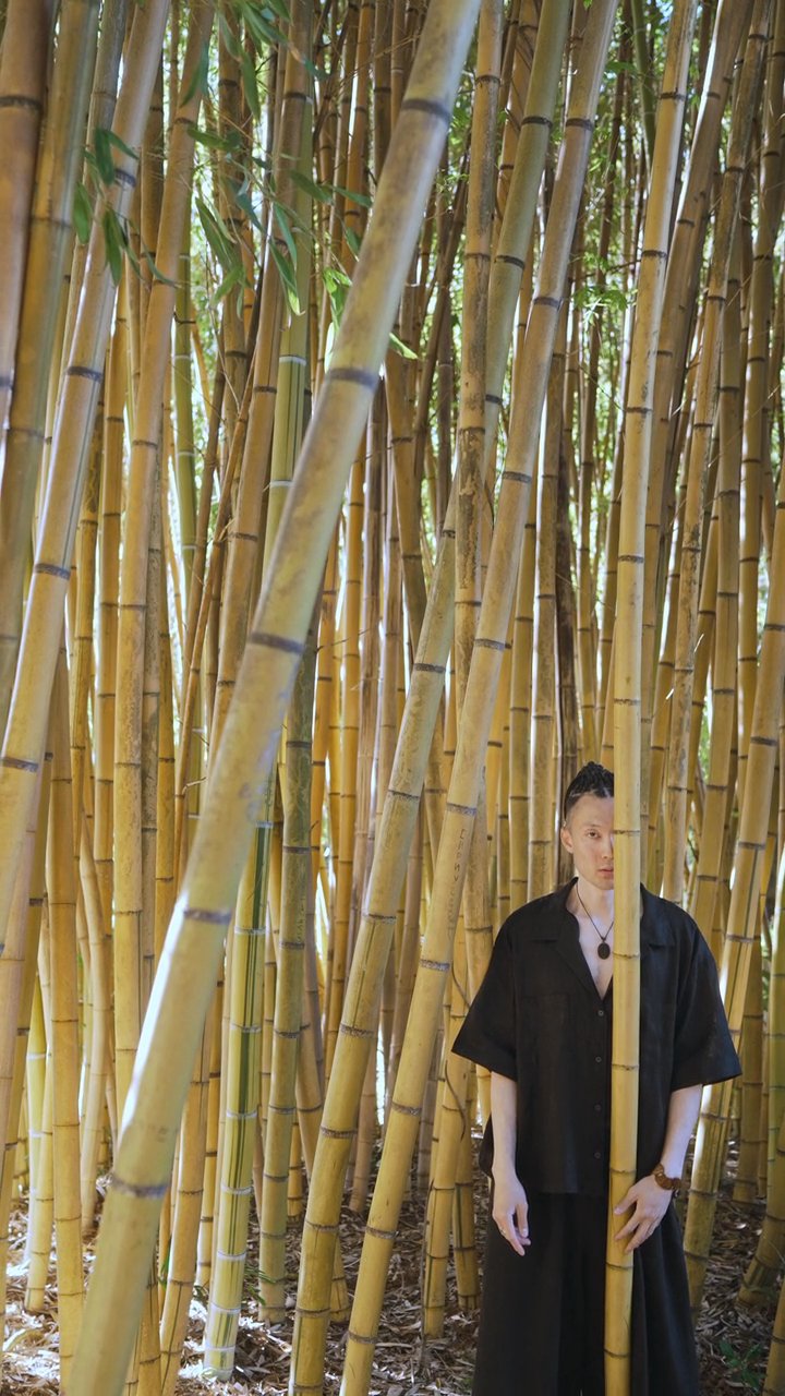 お疲れさま
🎥 Yaroslav Shuraev · Pexels
#癒し #リラックス #自然 #relax #healing