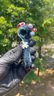 Small image 4