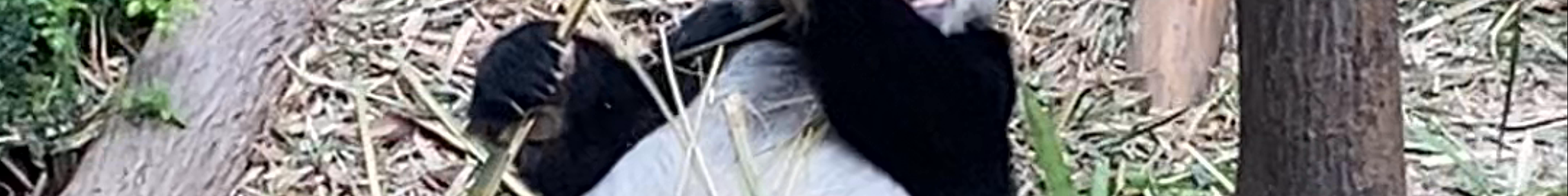 Tours & experiences in North