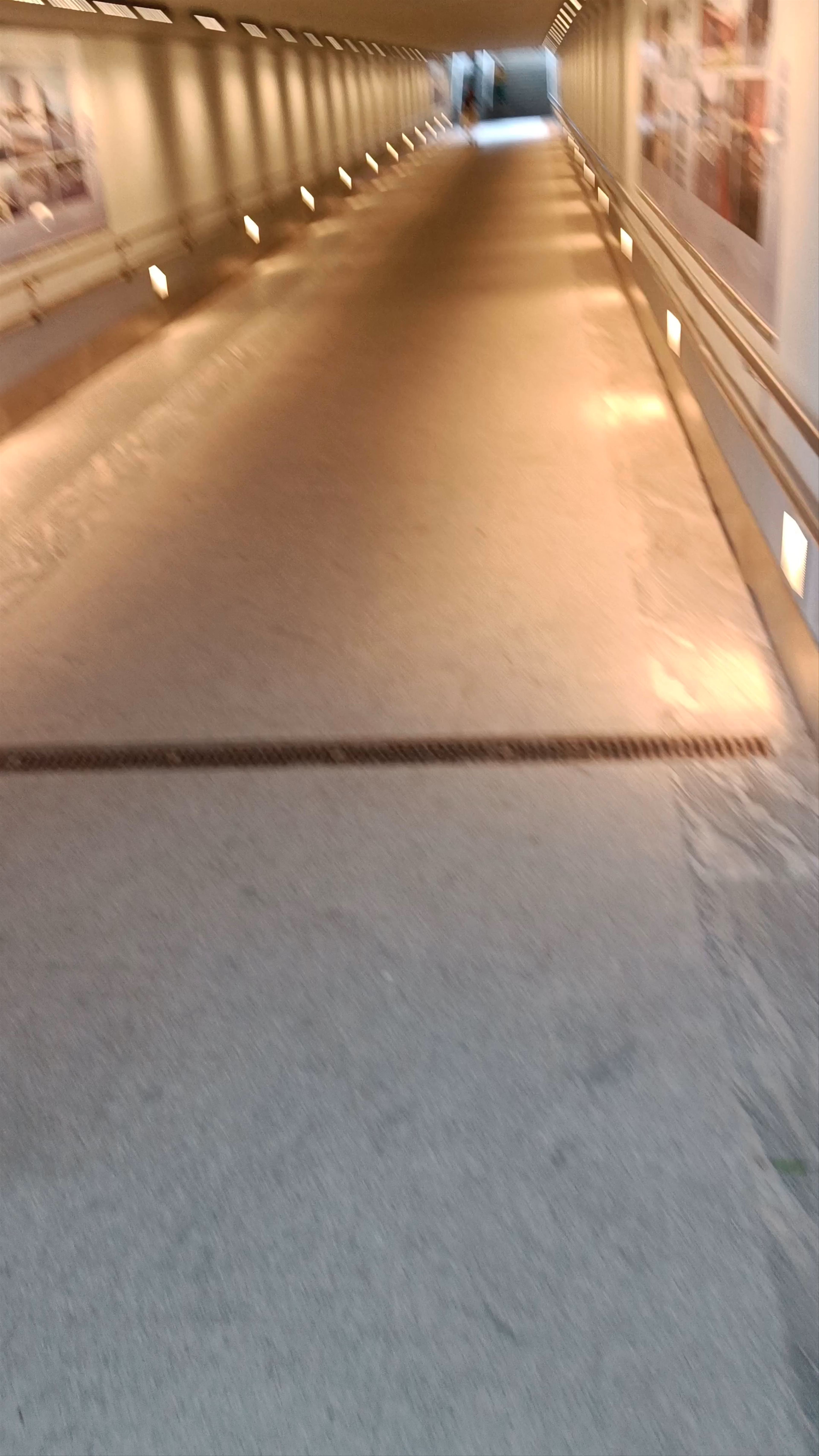 Ogre Pedestrian Tunnel: Urban Walkway and Modern Art Space