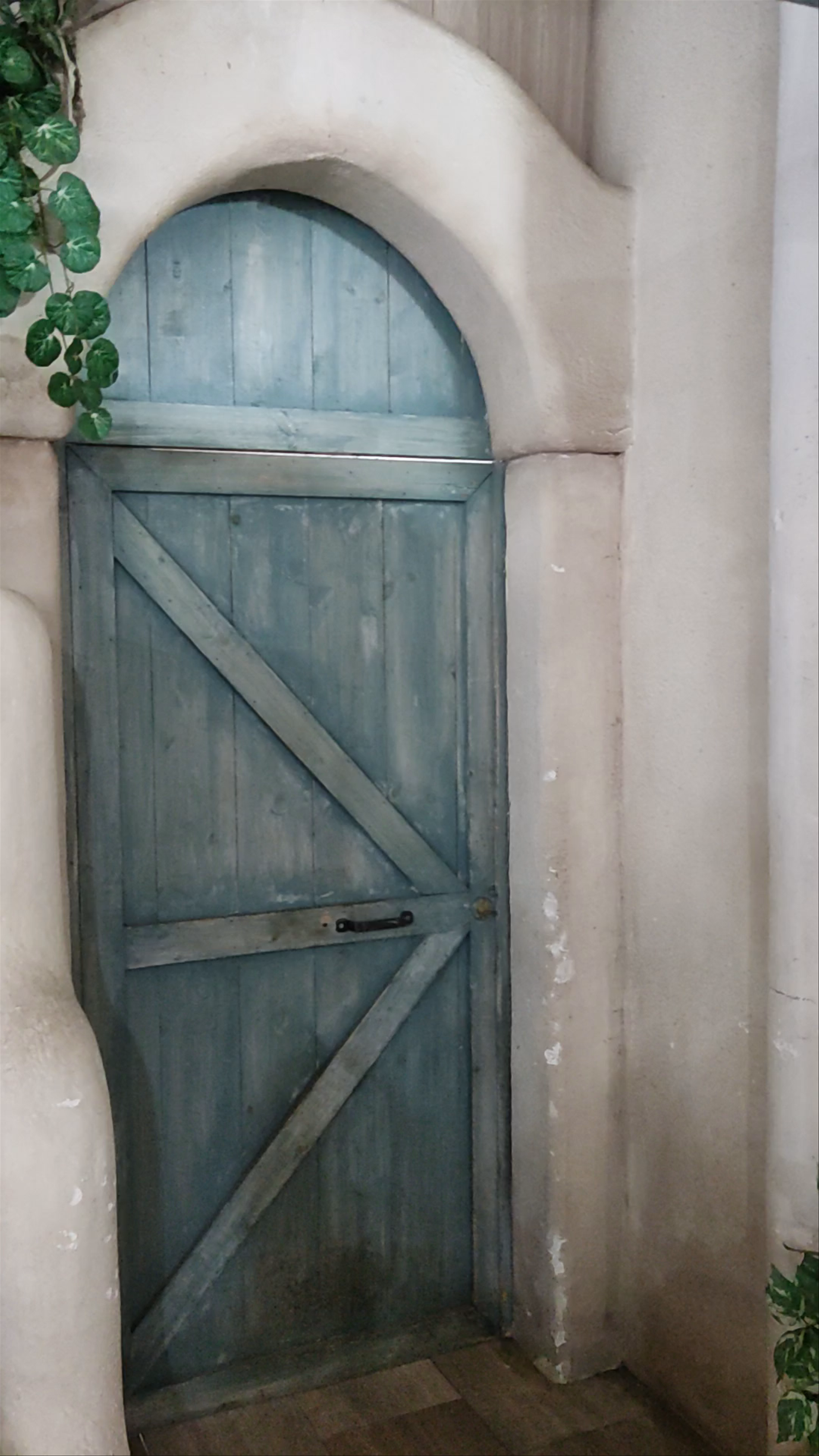 Ψαροταβέρνα το ΔΙΧΤΥ