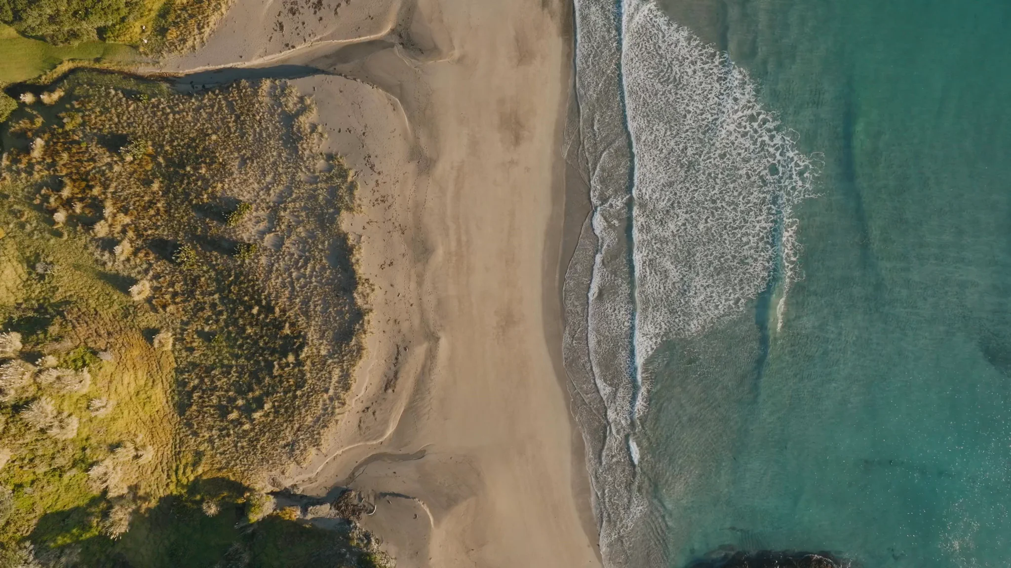 Aerial top-down of turquoise sea meeting pristine sand