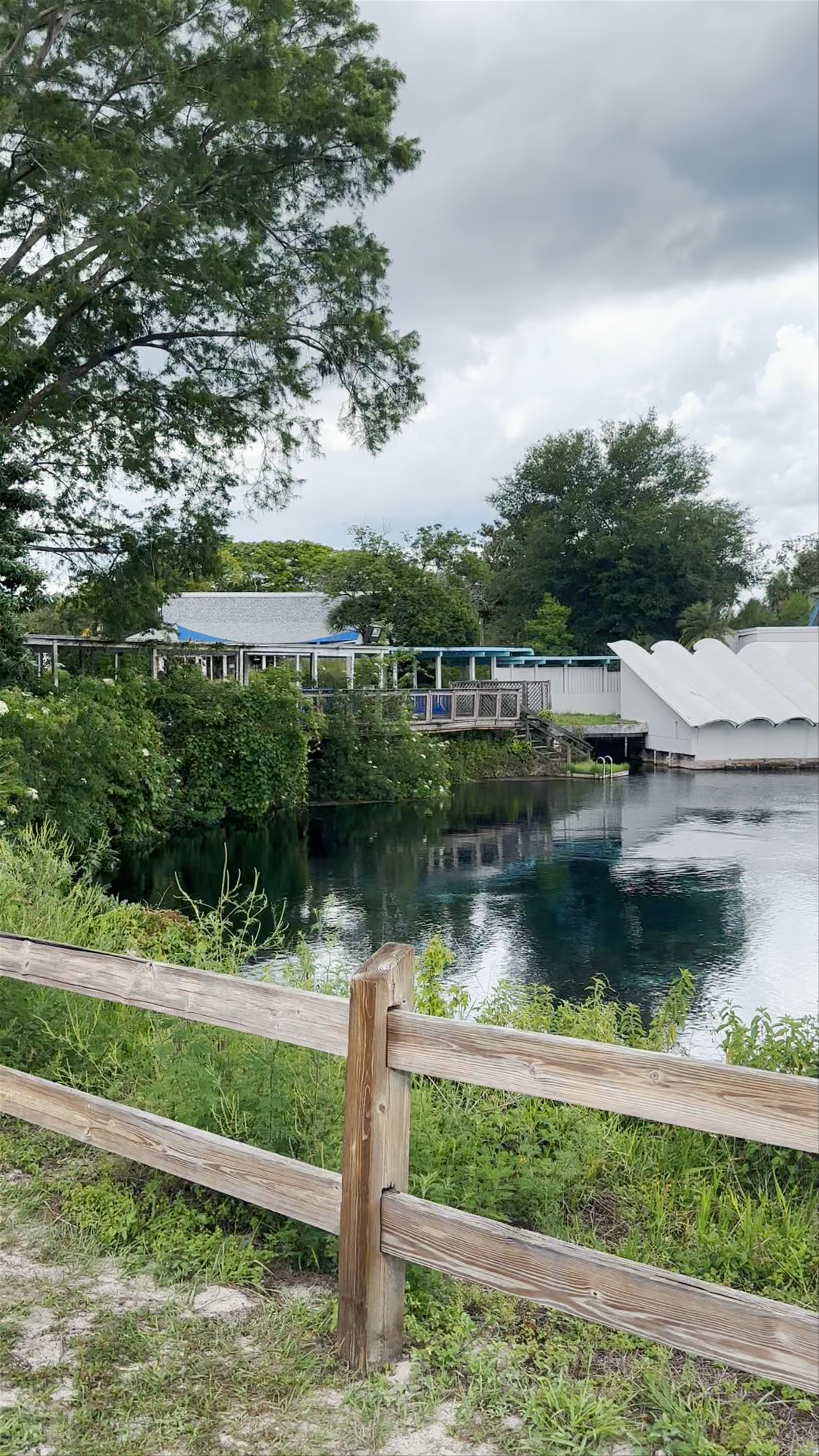 Weeki Wachee Springs: Magical Natural Springs in Florida