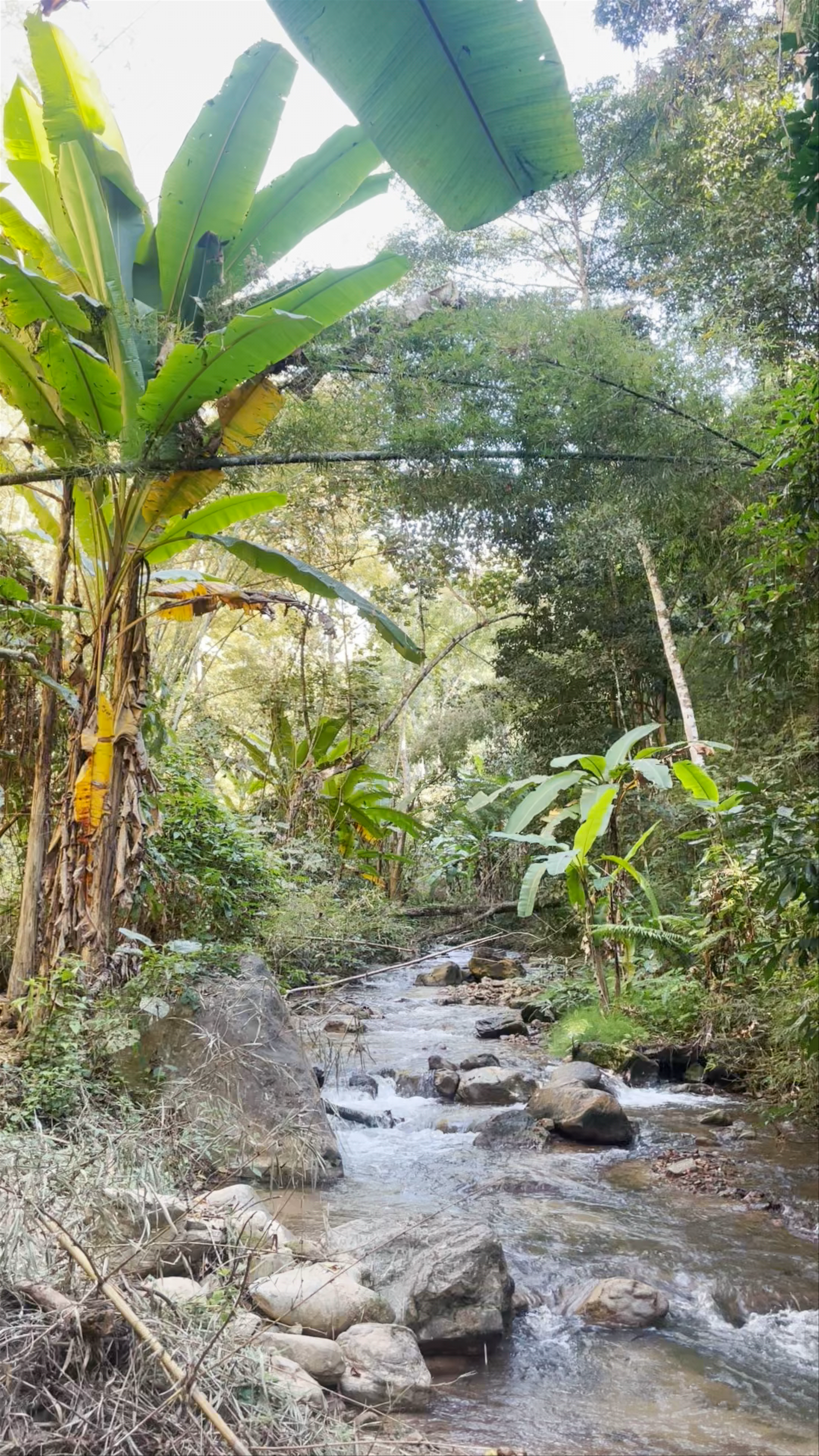 Huai Nam Dang National Park