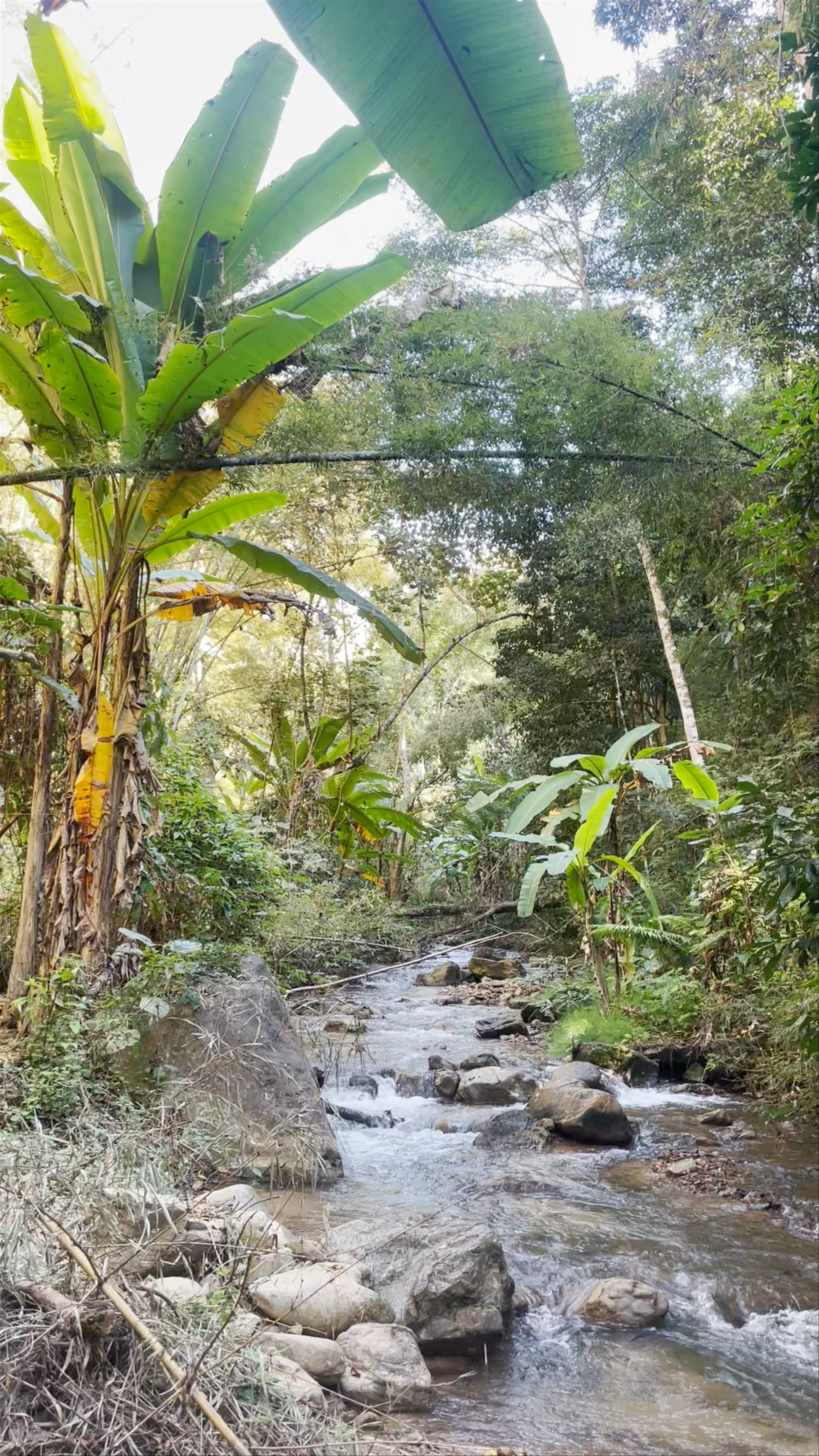 Huai Nam Dang National Park