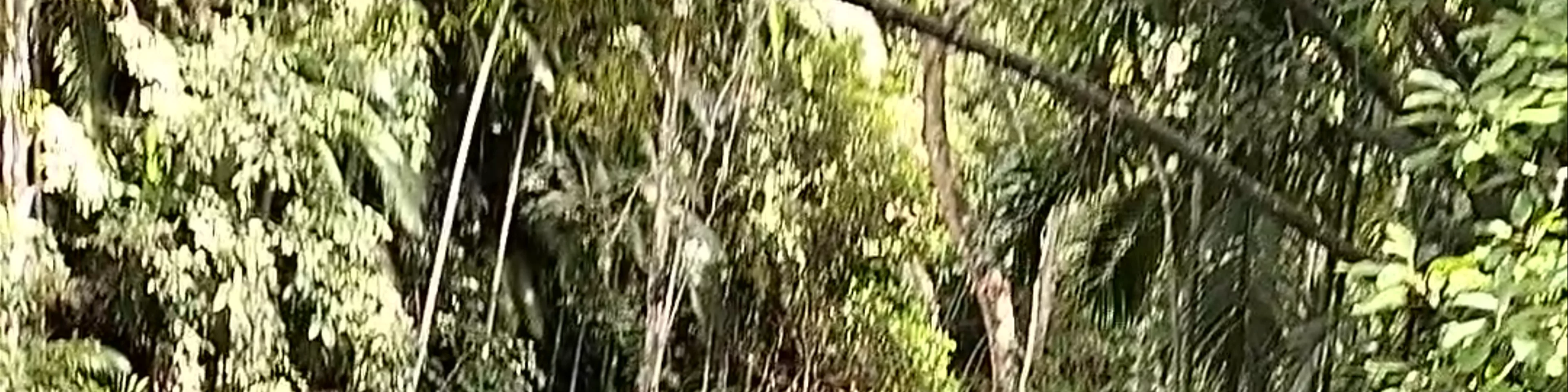 Lagaan Falls