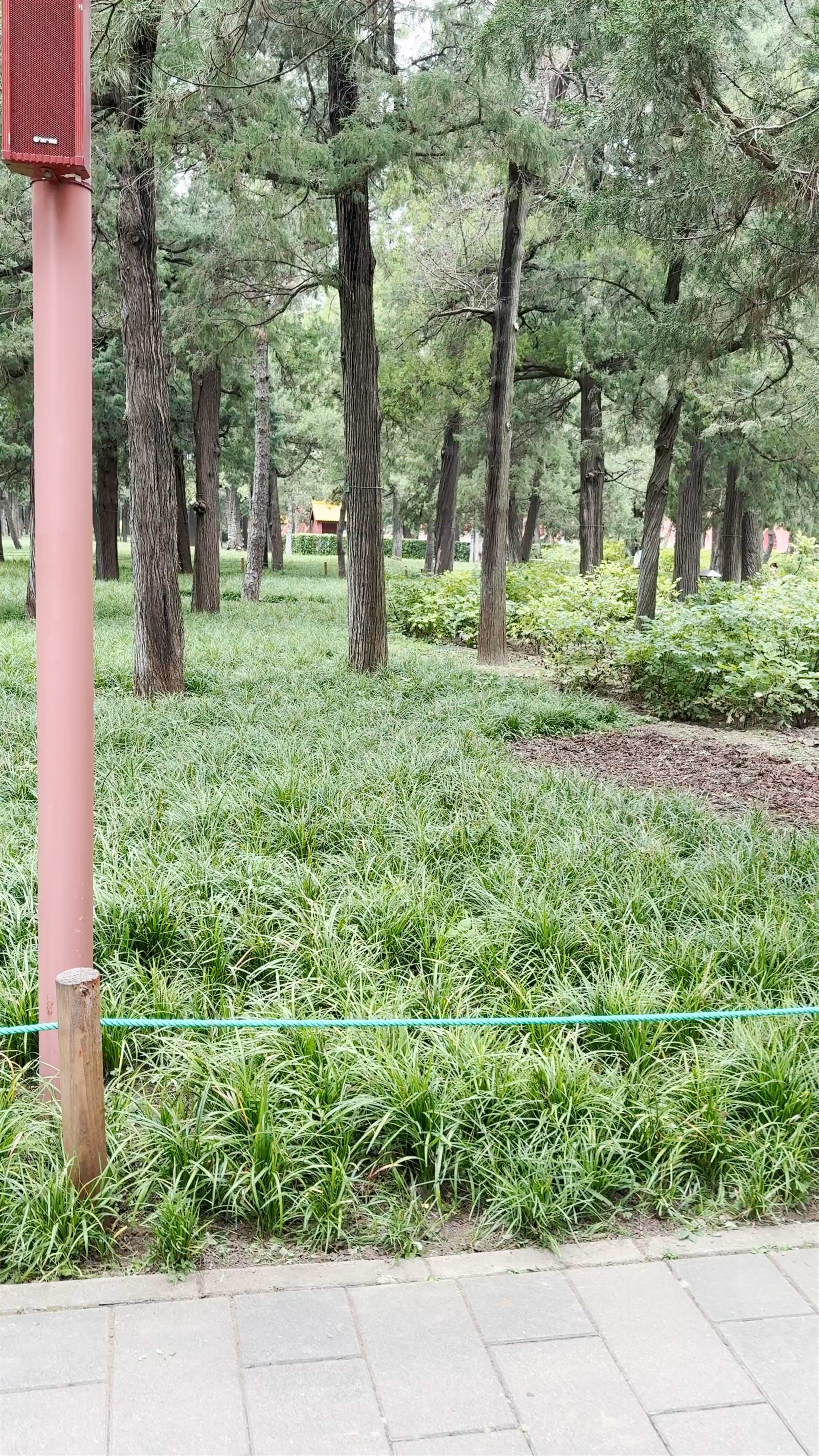 Jingshan Park