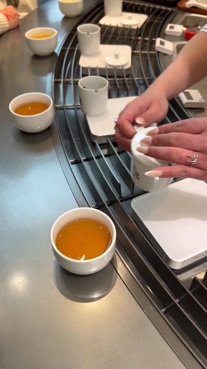 Chicha San Chen - Tea tasting - Tea Rooms Near Me - Boston, Massachusetts