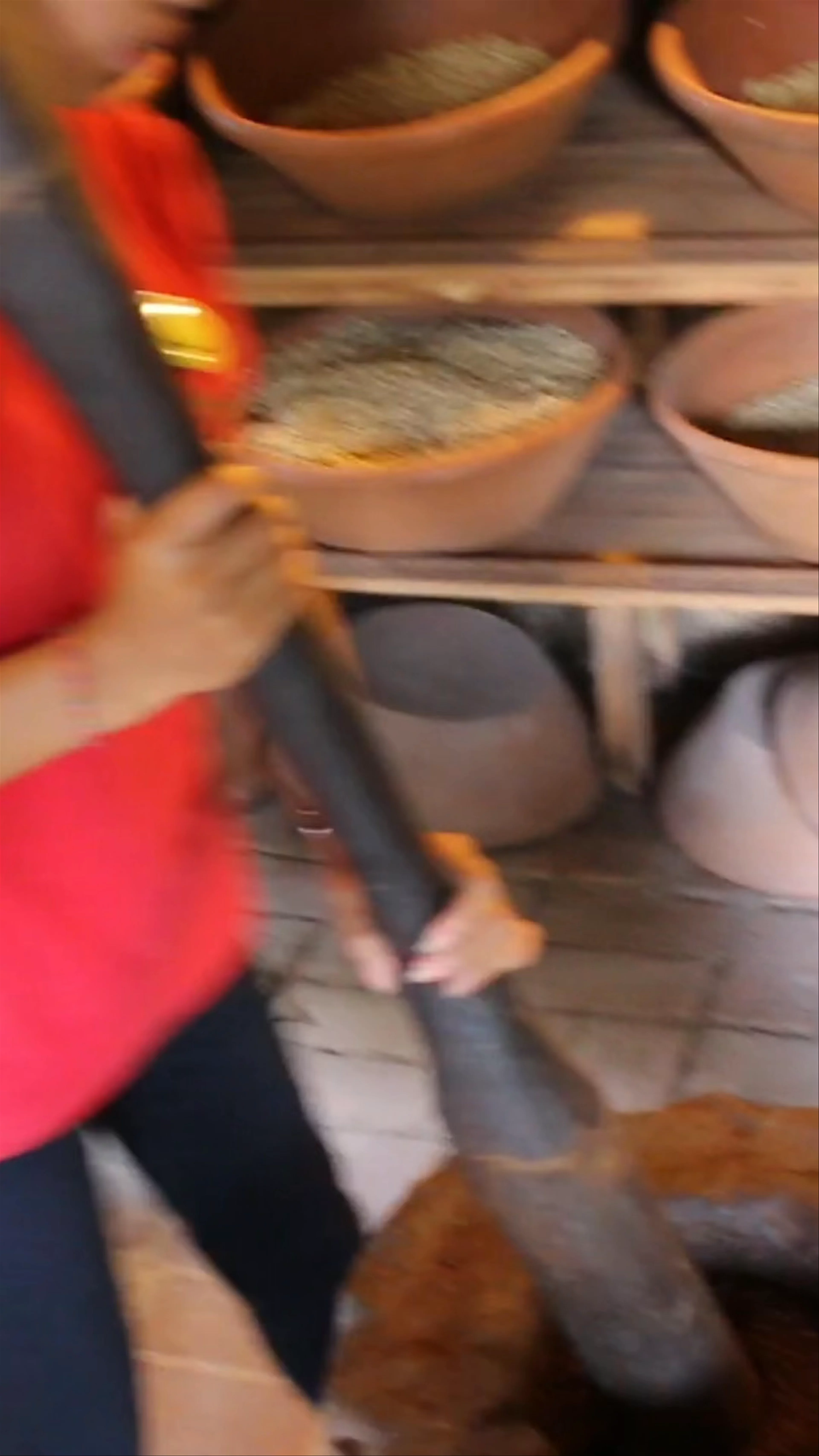 Alas Harum Bali, Jalan Raya Tegallalang, Tegallalang, Gianyar Regency, Bali, Indonesia