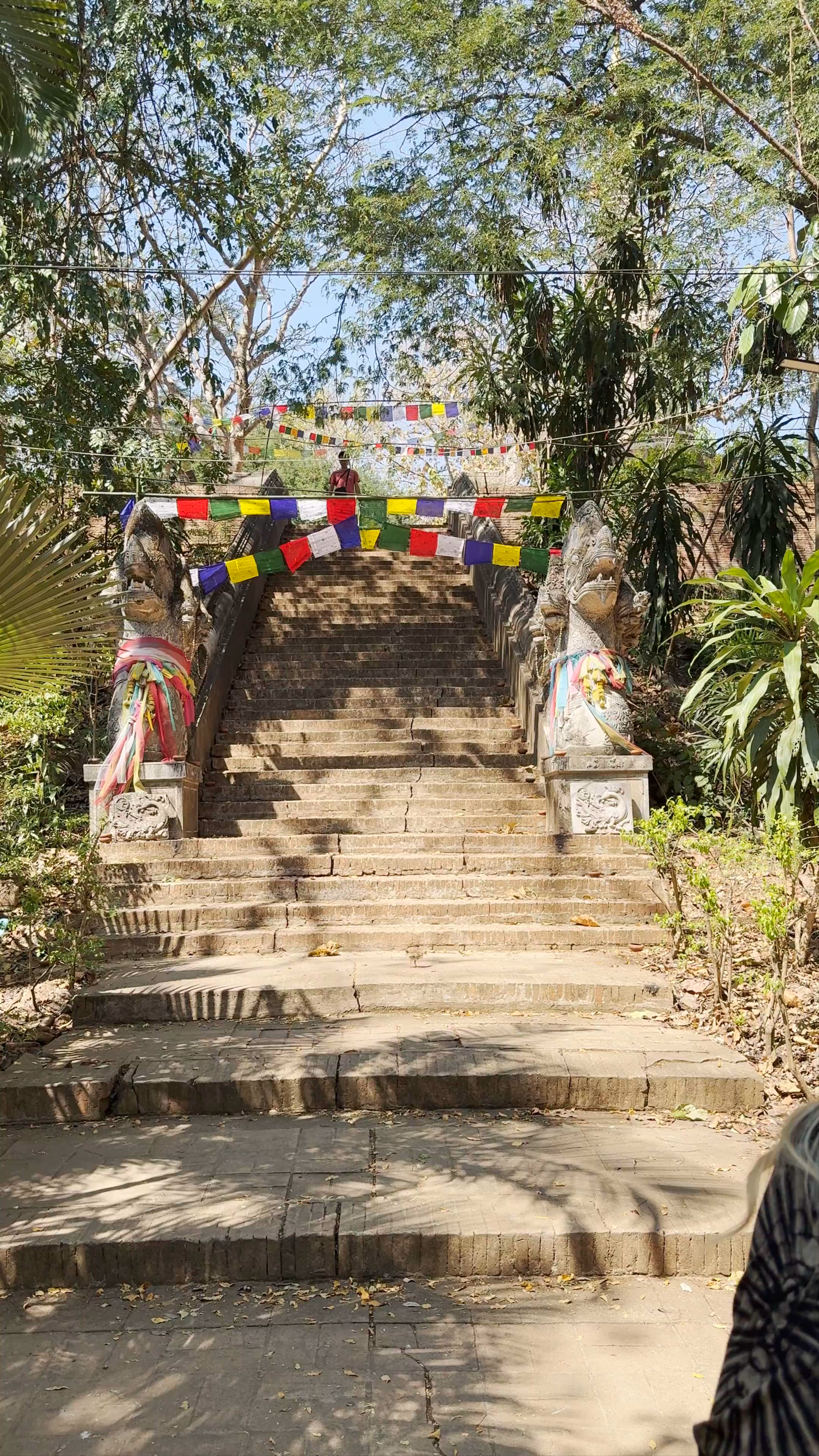 Sacred Serenity at Chedi Wat Umong in Chiang Mai