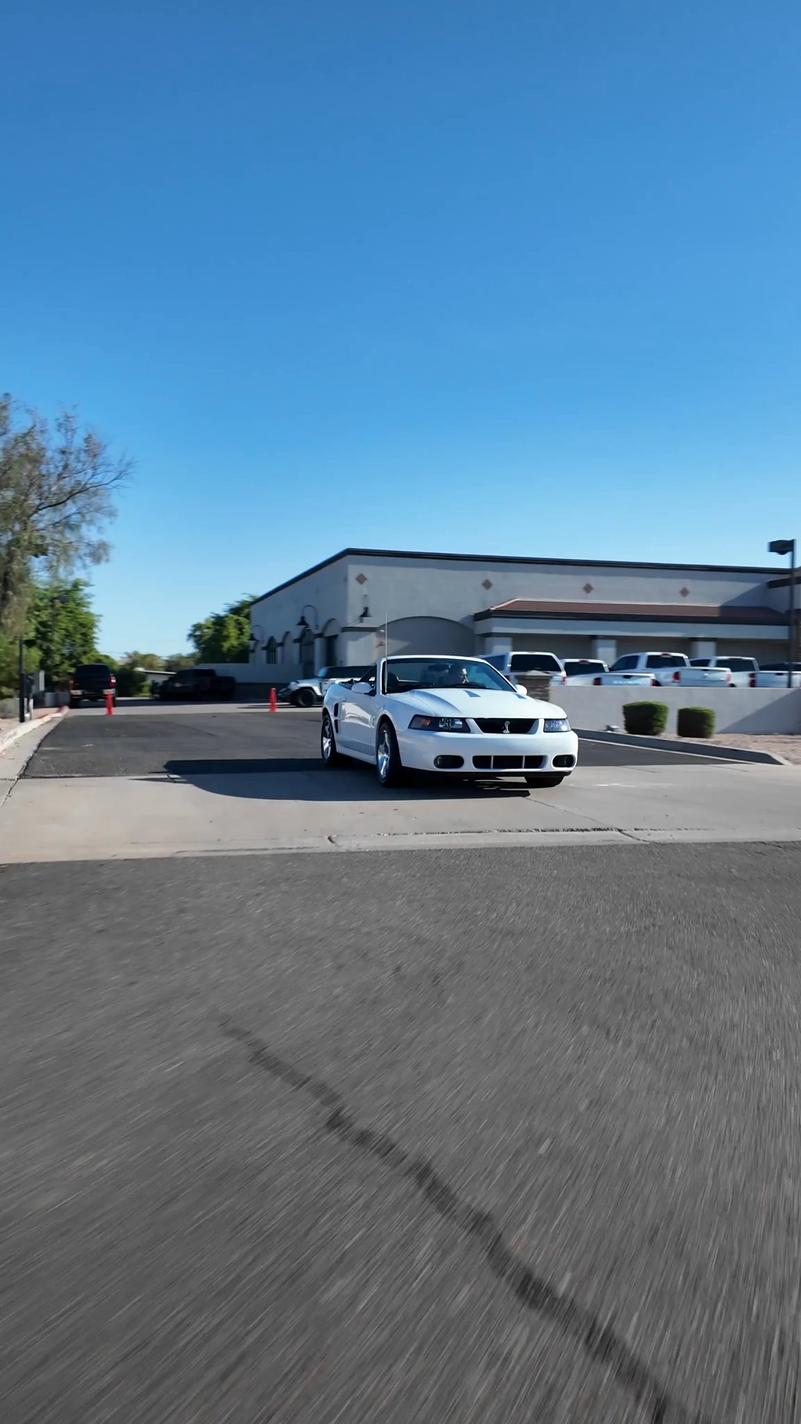 AZ Signature Motorsports - #22646 - 2004 Ford Mustang SVT Cobra Base