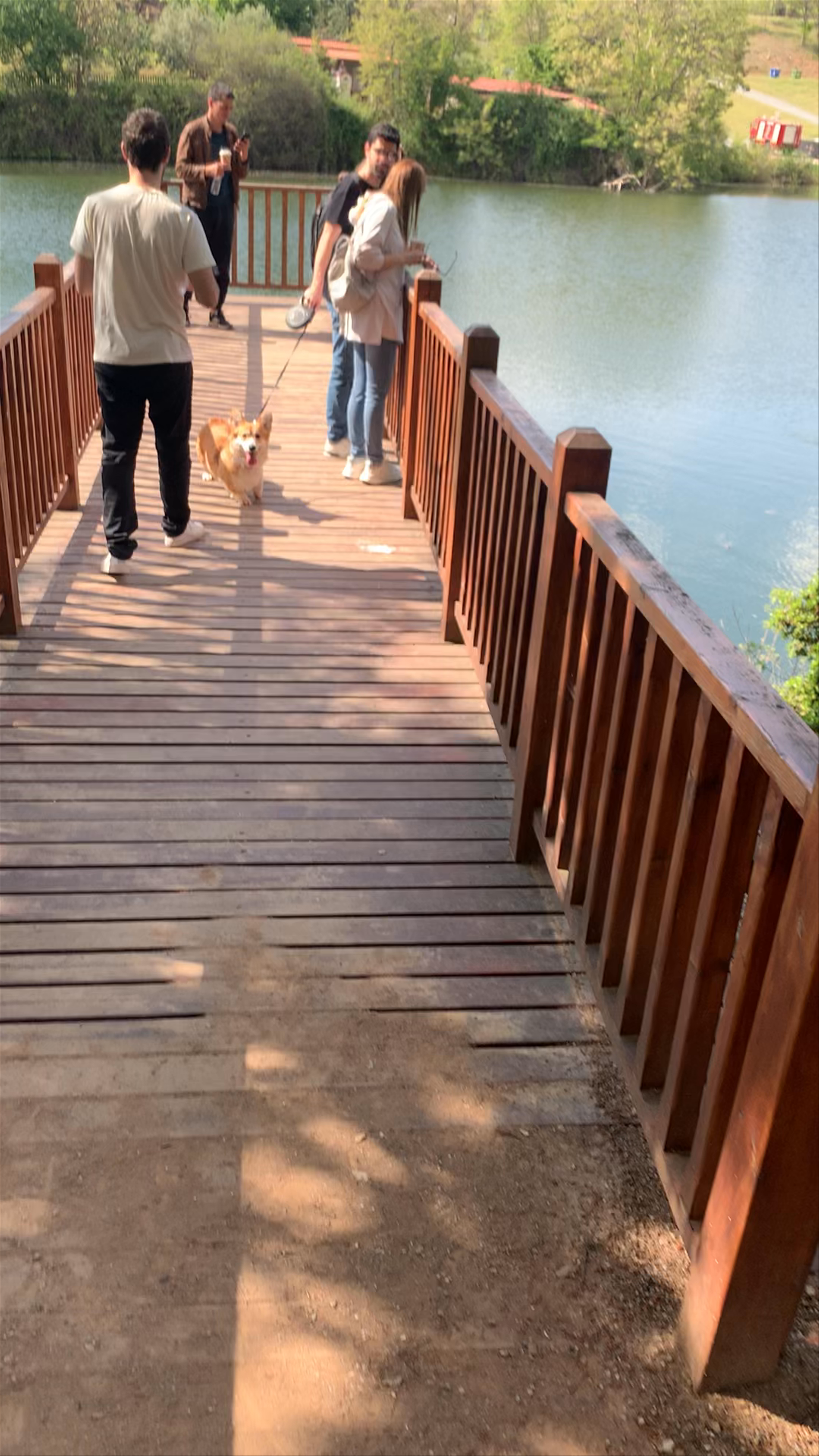 Springtime Serenity at Thermis Dam Bridge, Thermi, Greece