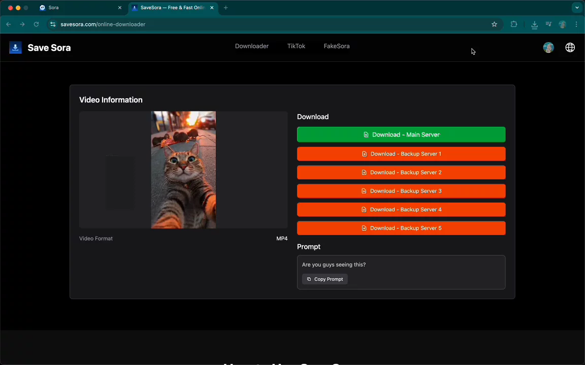 Sora 2 Watermark Remover - SaveSora image 1