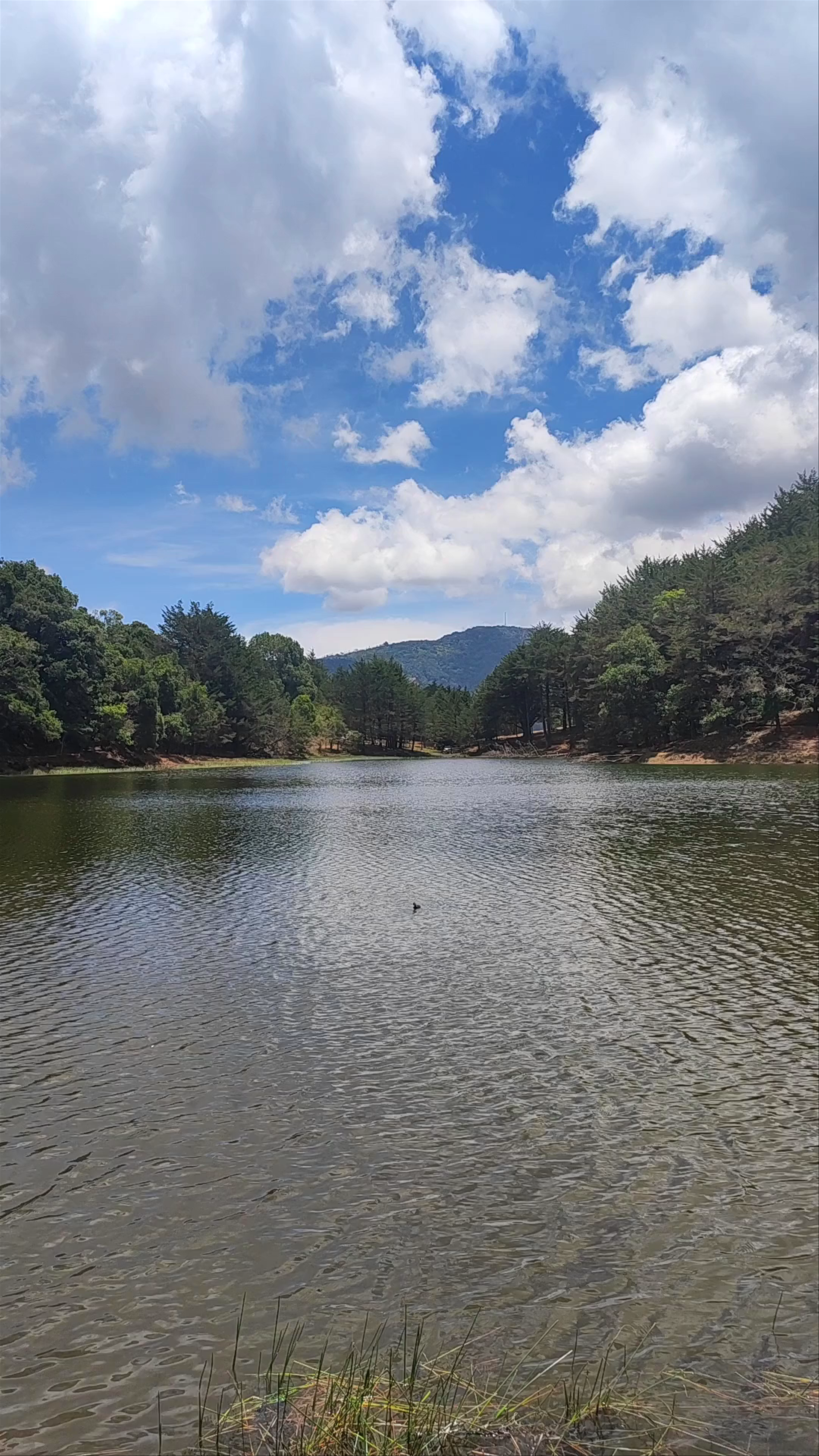 Laguna Don Manuel
