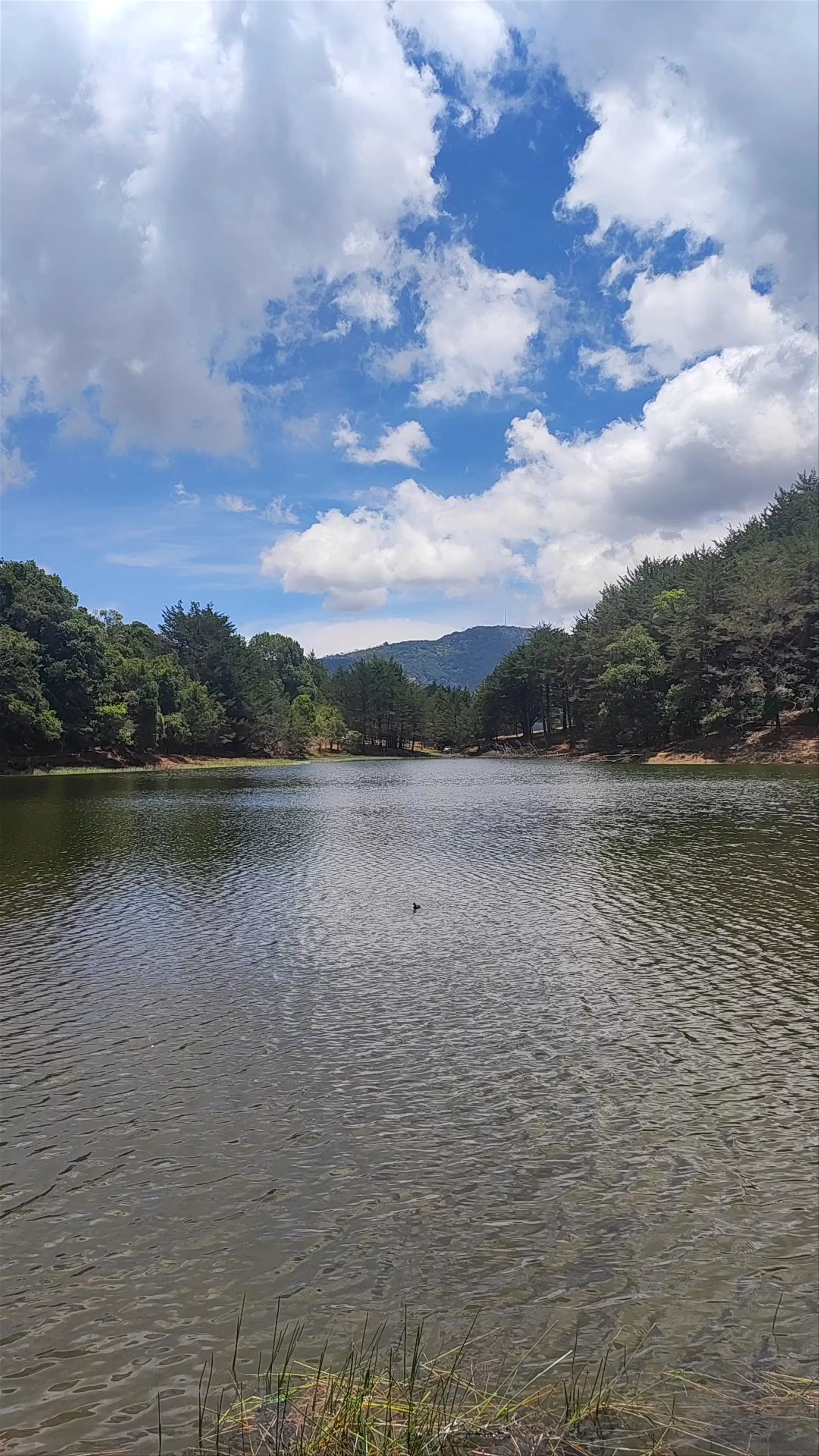 Laguna Don Manuel