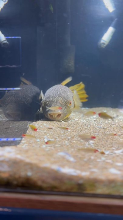 Aquarium Co-Op - Aquarium Services Near Me - Edmonds, Washington