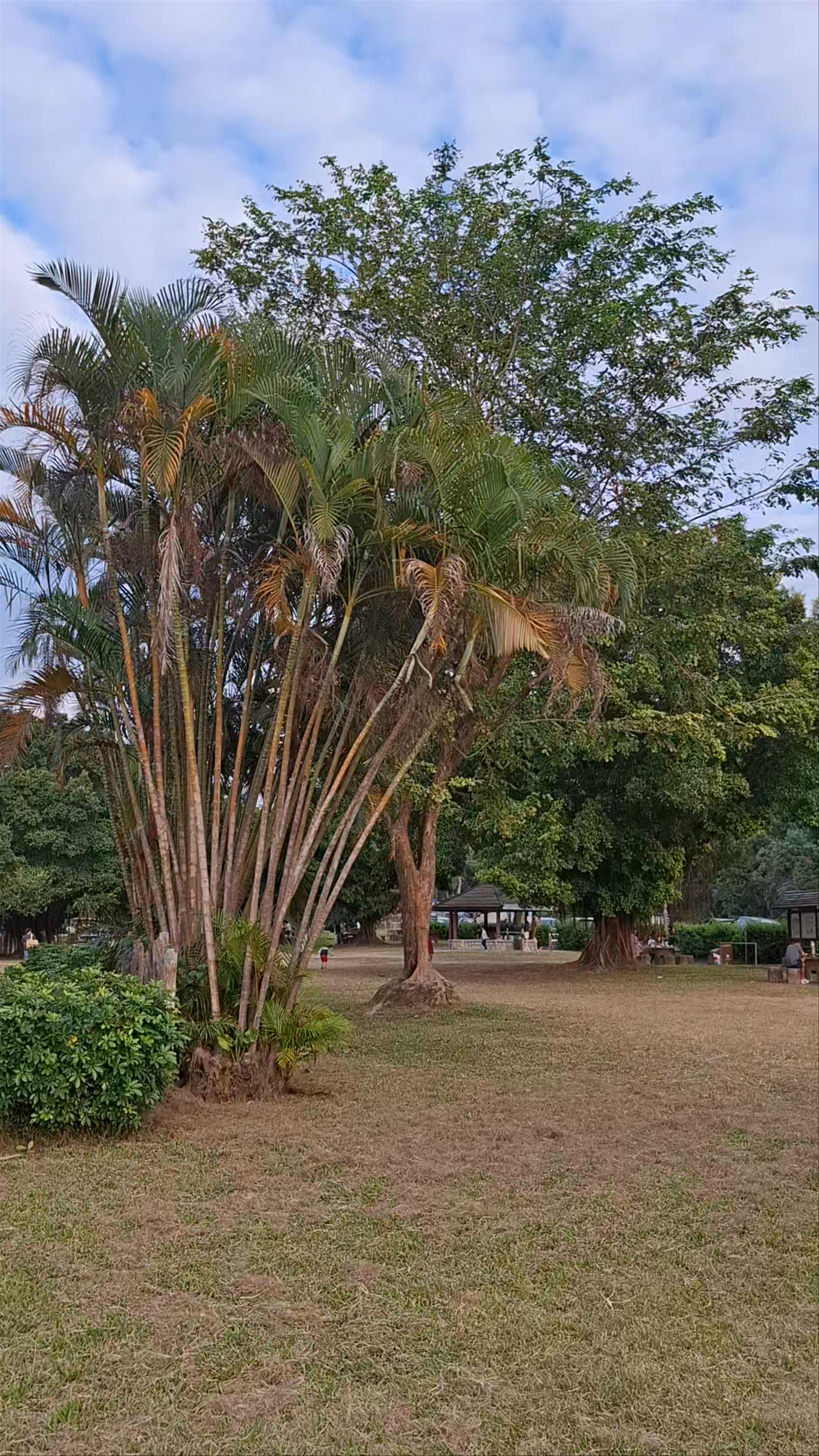 Tai Lam Country Park (Tai Tong)