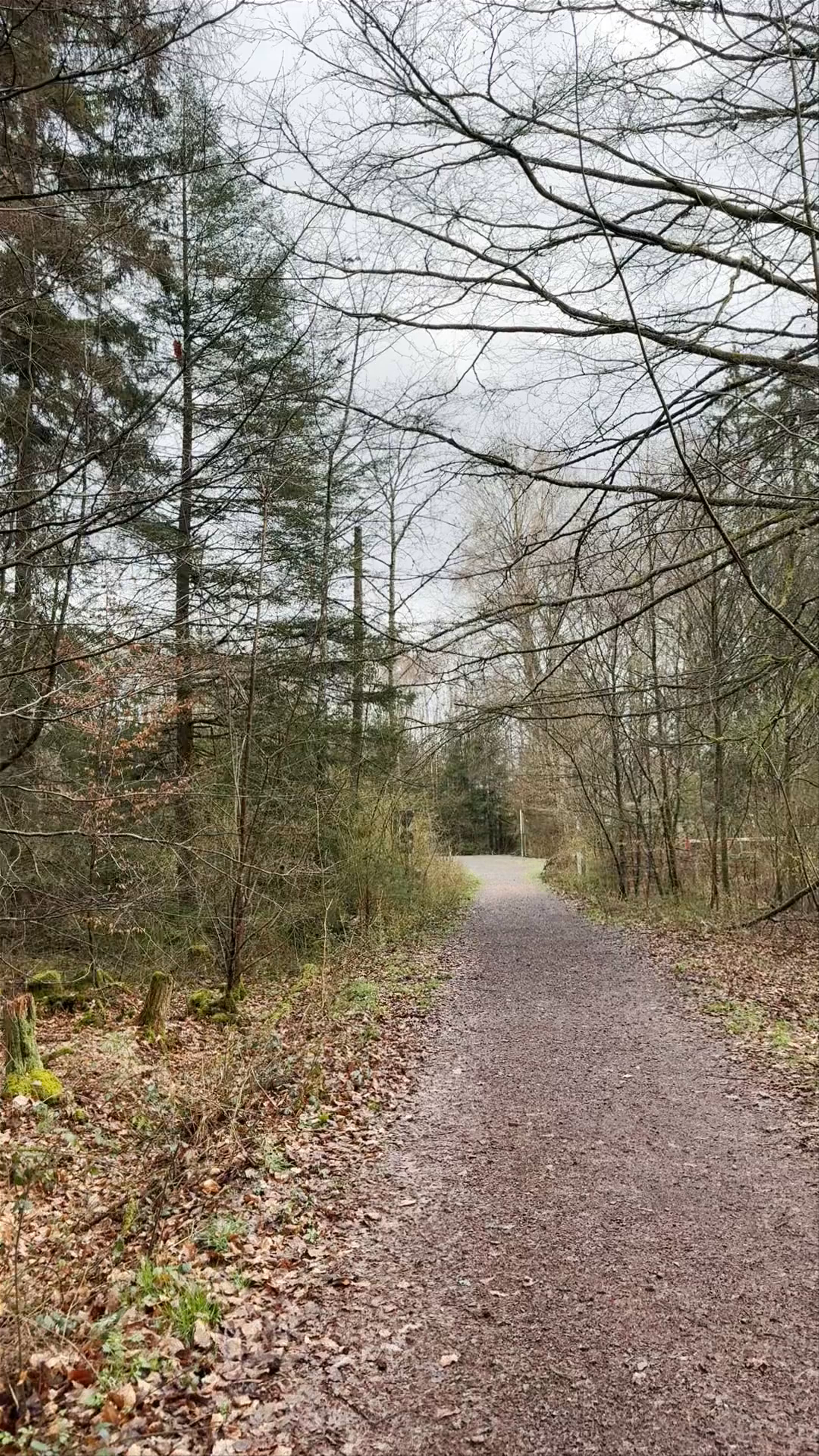 Nationalpark-Tor Keltenpark - Nationalpark Hunsrück-Hochwald