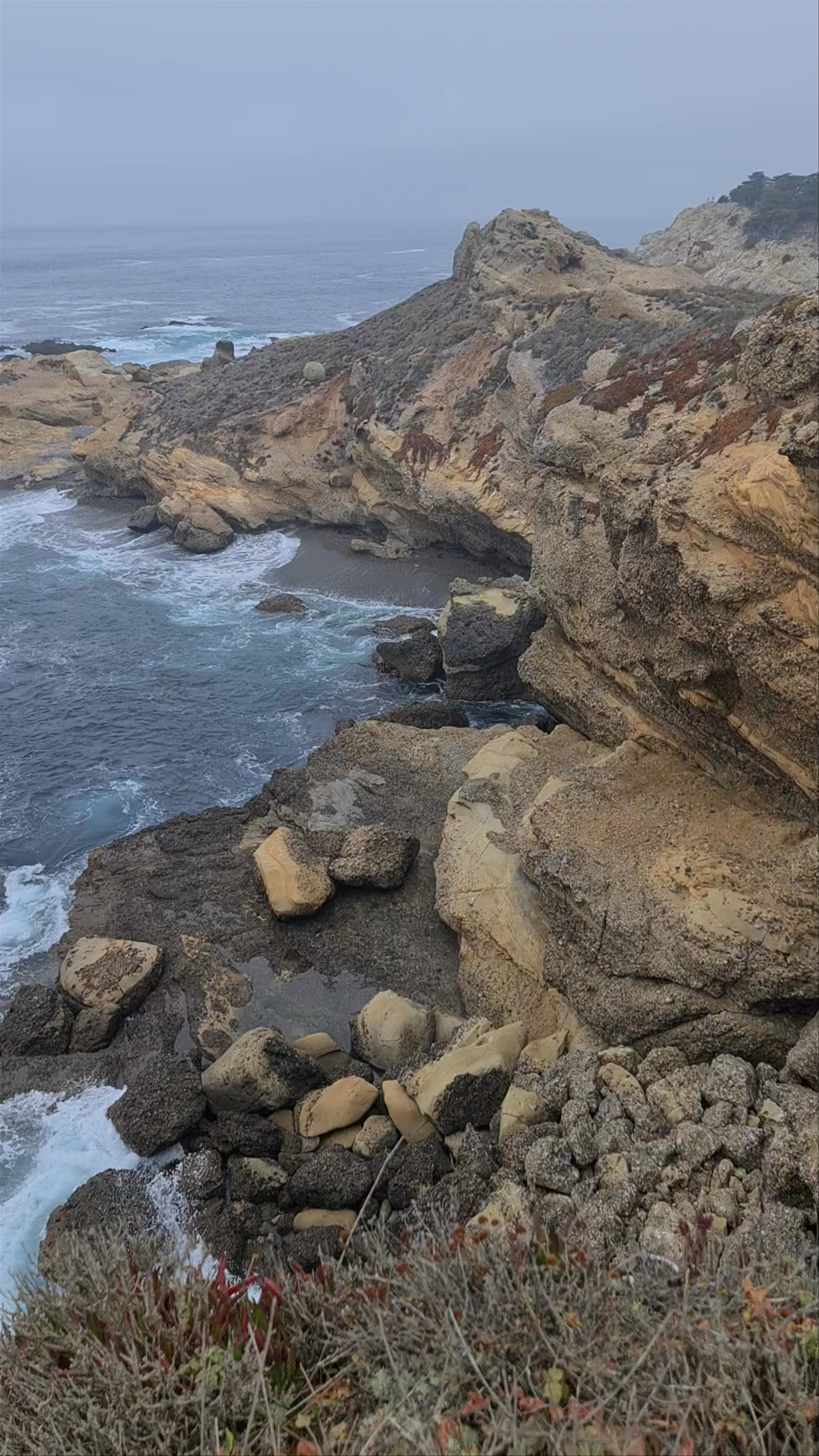 Misty Ocean Cliffs at Point Lobos State Natural Reserve