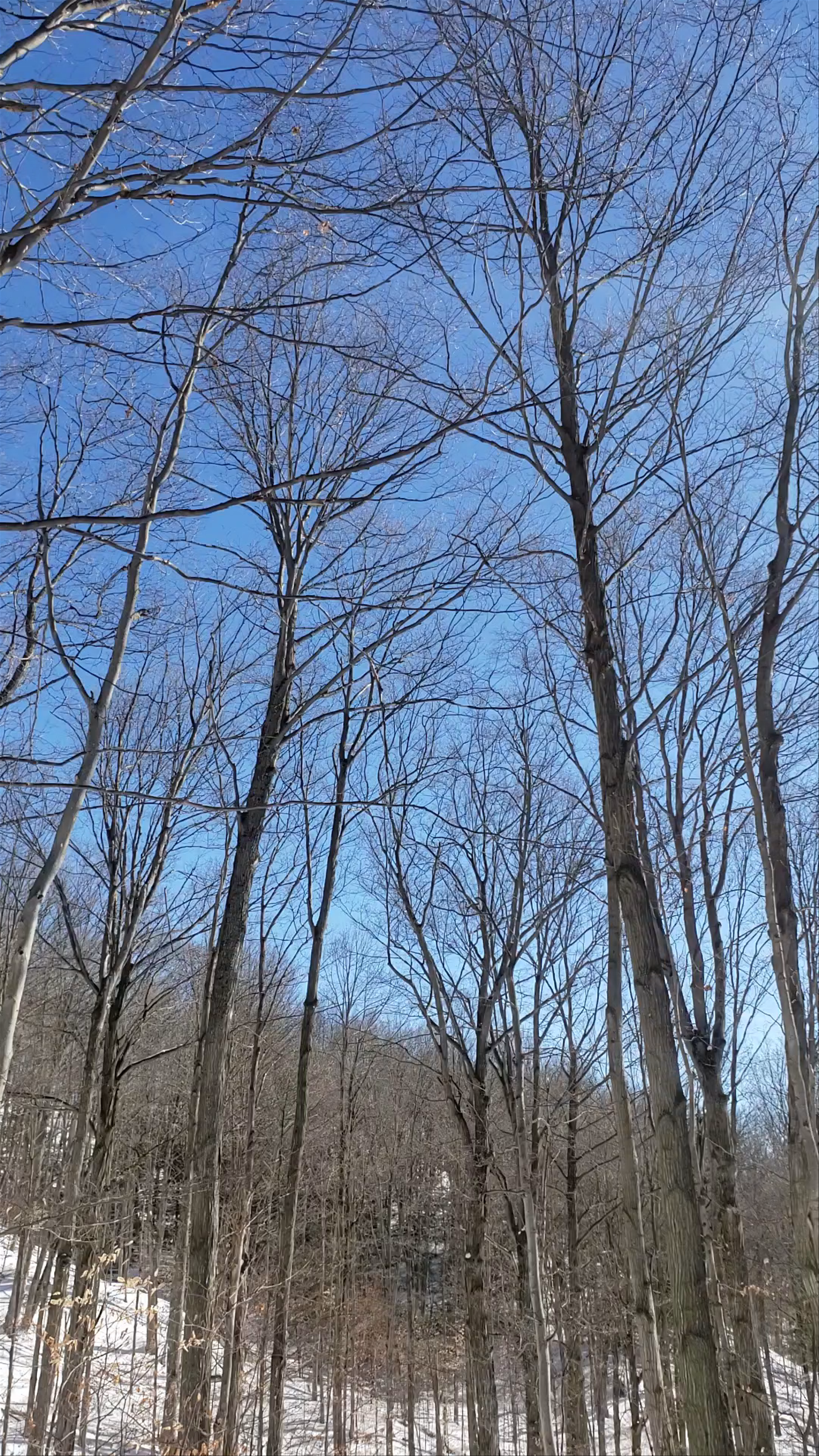 Forks of the Credit Provincial Park