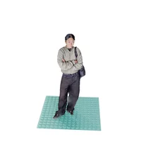 Vagabond 3D scan