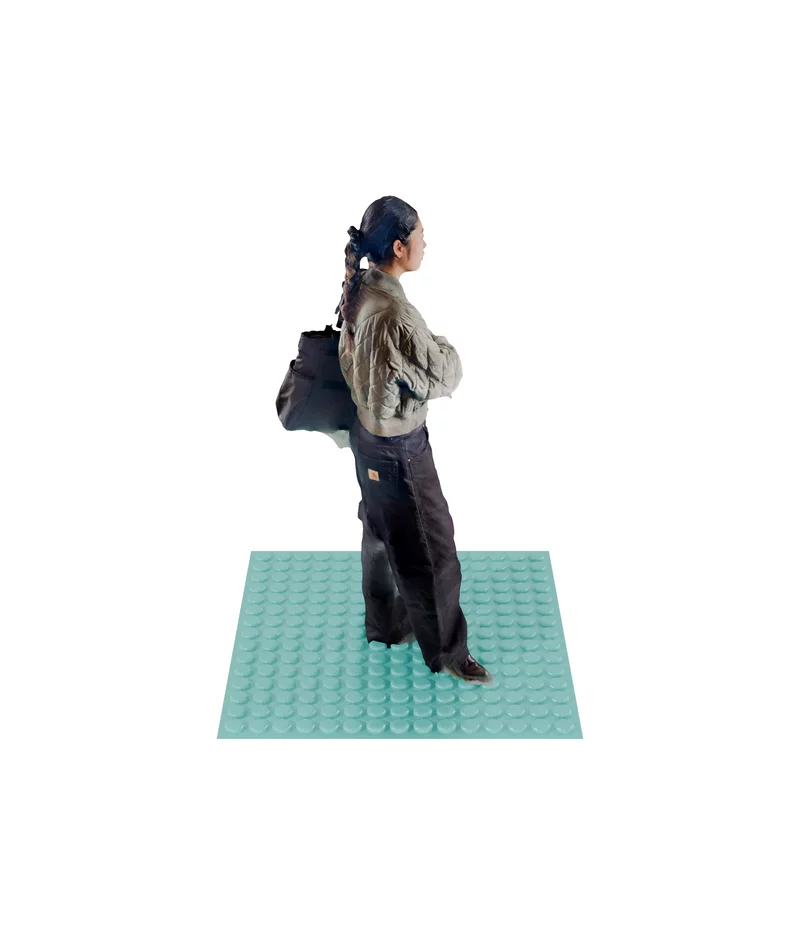 Vagabond