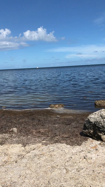 Deering Point - Rafting/Kayaking Near Me - Miami, Florida