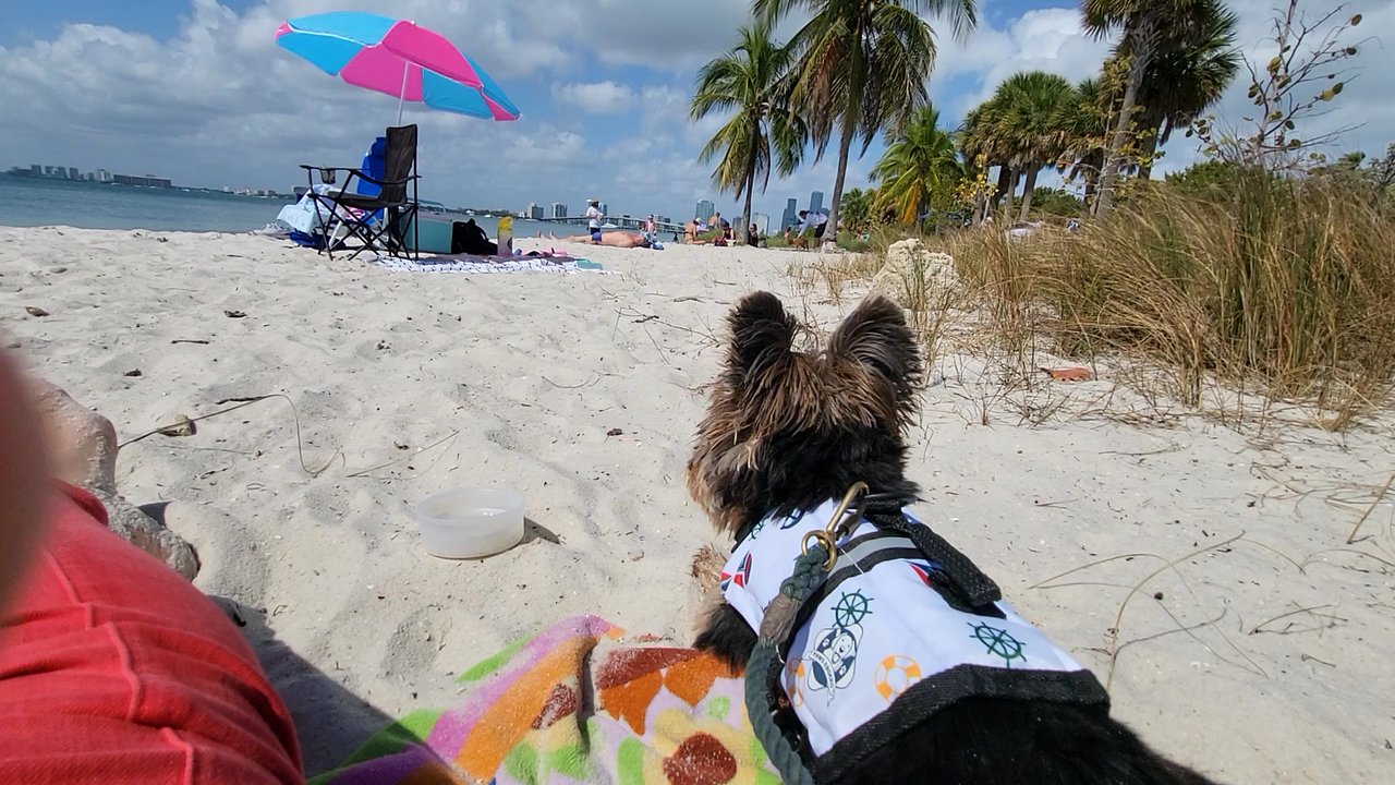 Hobie Beach - Beaches Near Me - Miami, Florida