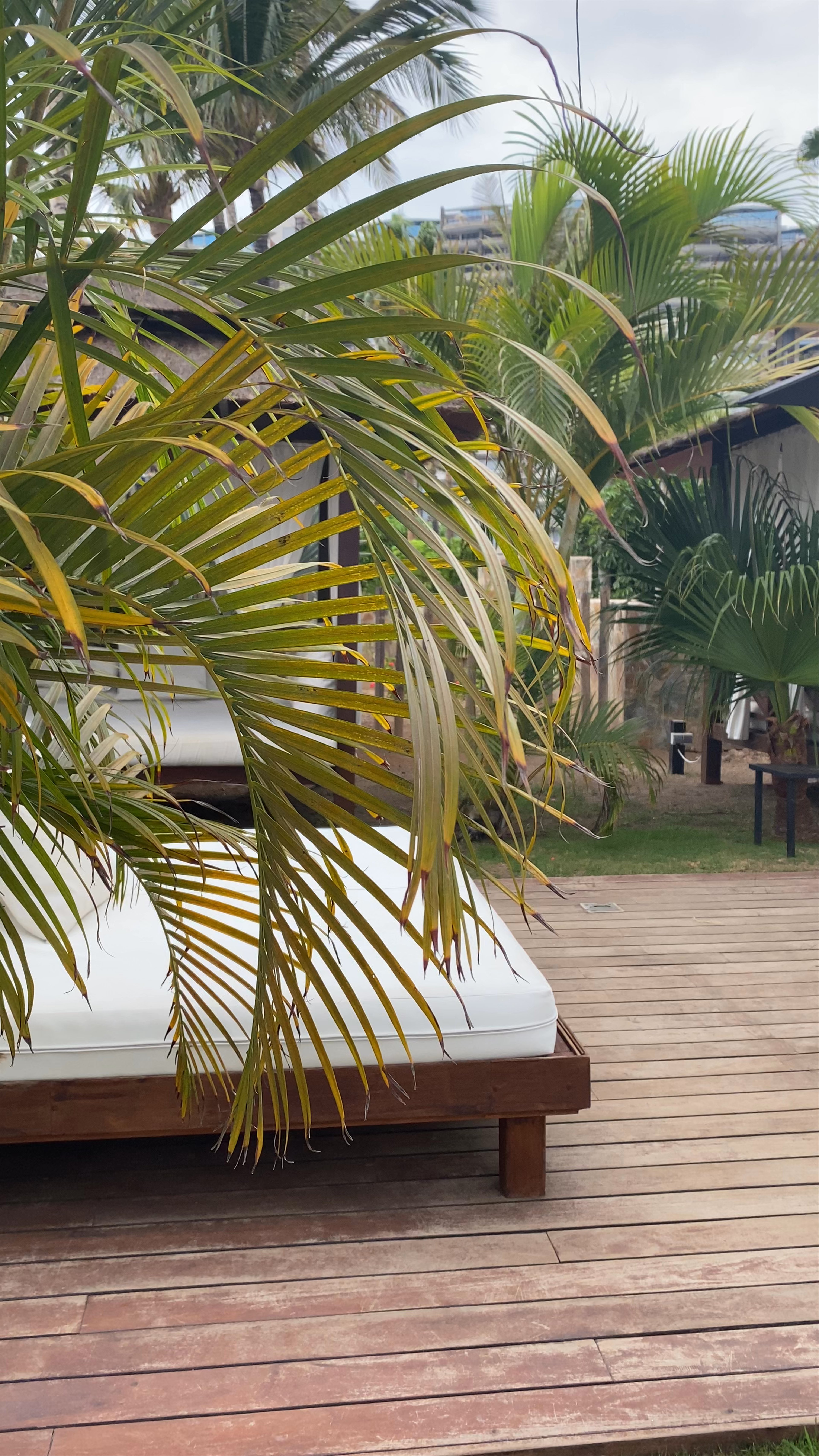 Tranquil Tropical Retreat at Maroa Club de Mar, Arguineguín, Spain